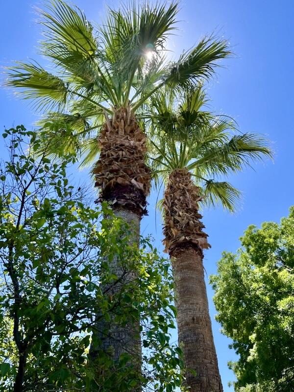 COUNTRY LANE ESTATES SOUTH - Residential