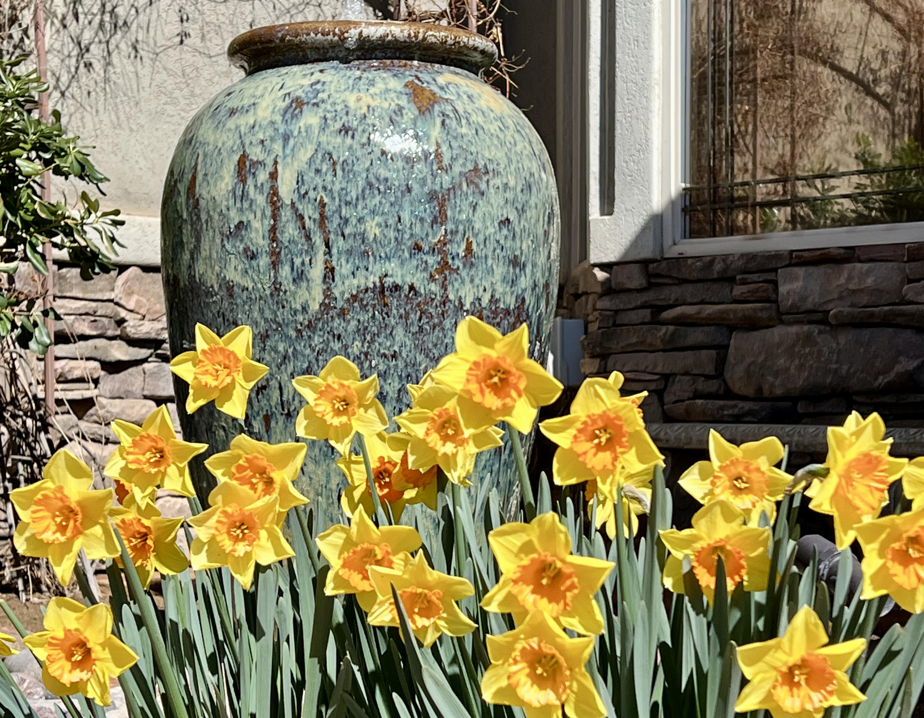 COUNTRY LANE ESTATES SOUTH - Residential