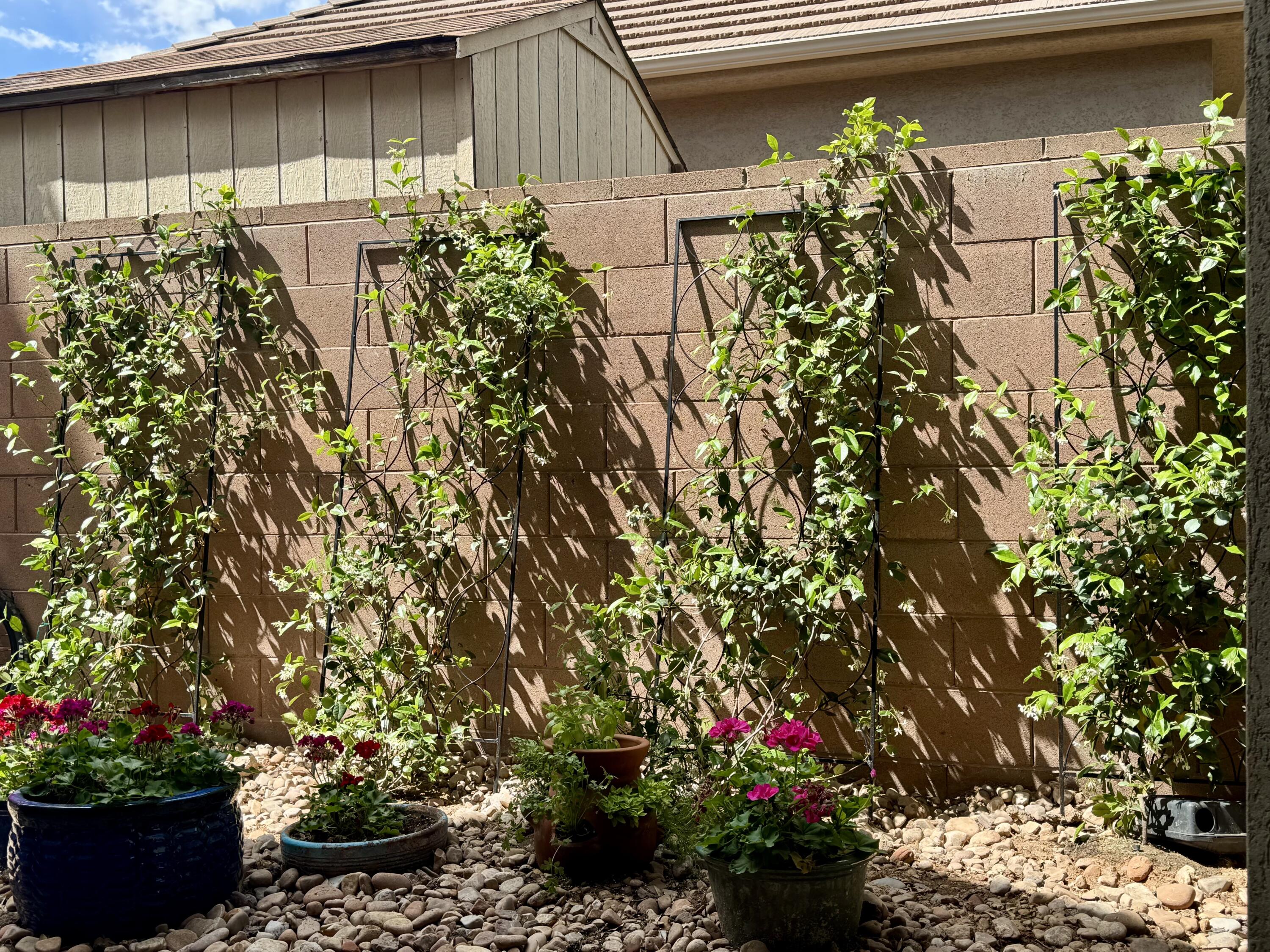 COUNTRY LANE ESTATES SOUTH - Residential