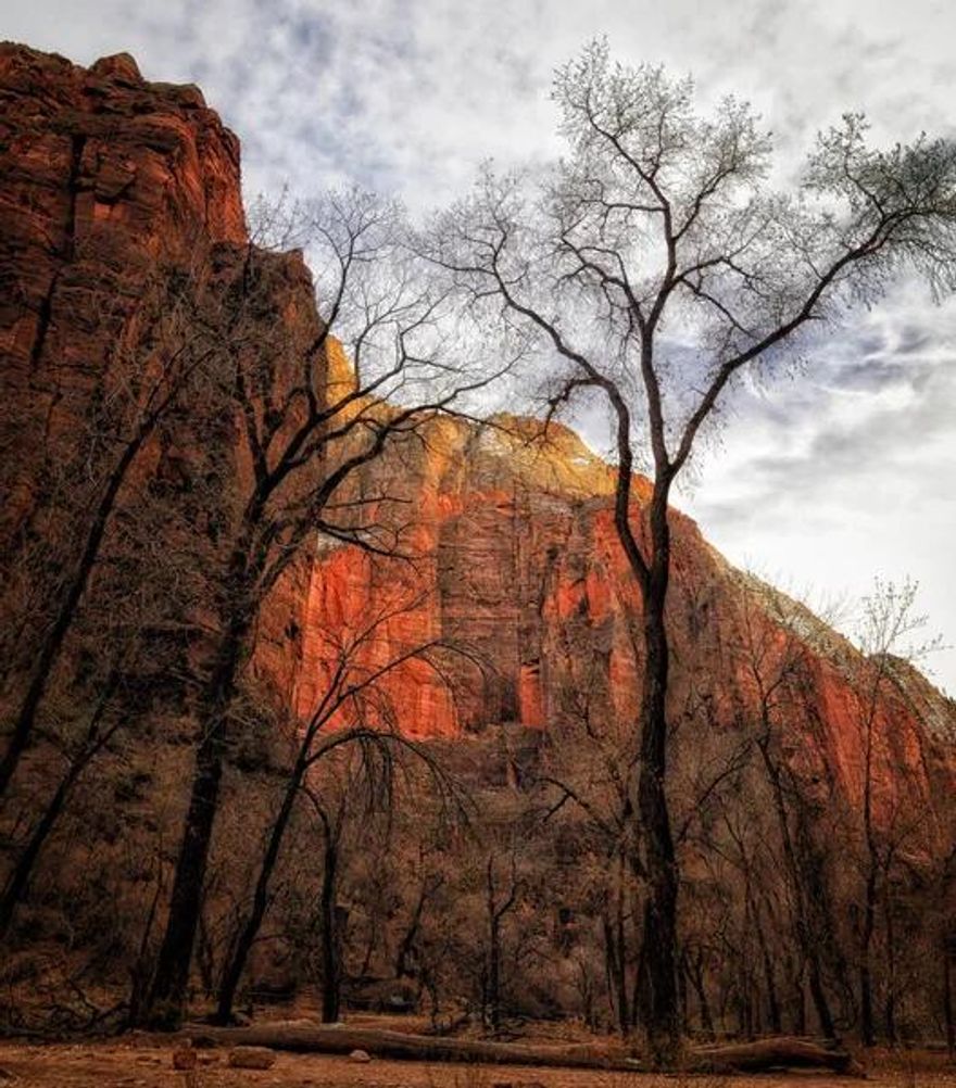 Masterpiece of a restaurant with  indoor/outdoor dining + state of the art kitchen.  Please call listing agent for more details as a Non-Disclosure Statement is required. Listing information deemed reliable, buyer to verify.