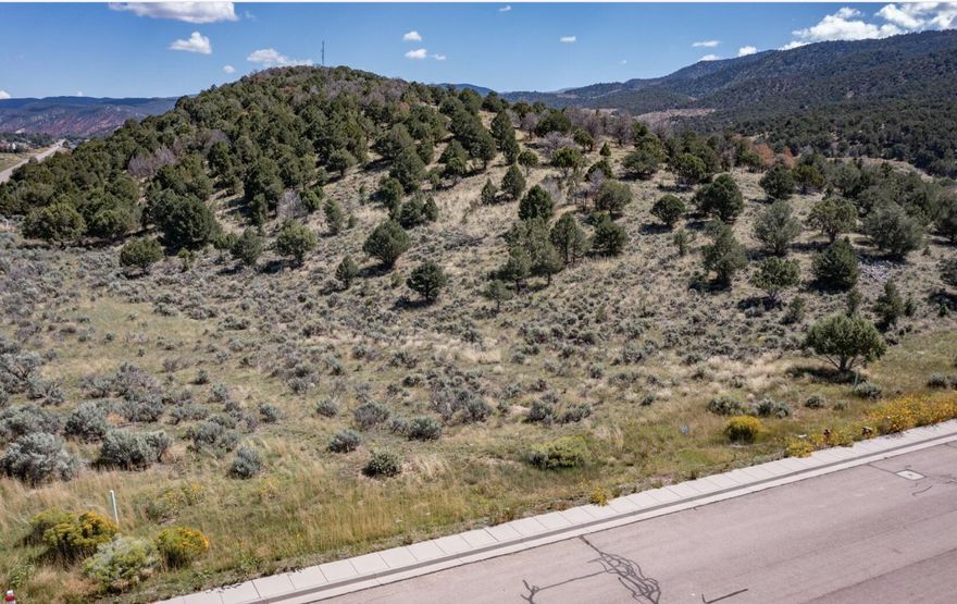 Rare lot in Heritage Hills Subdivision, Parowan. Includes city water, power, natural gas, sewer, fiber optics (stubbed to lot line), paved road, sidewalk, gutters. Incredible views of mountains and country living within city limits. Backyard will always be private- with mountain slope of beautiful trees and natural landscape. No HOAs, but CCRs to maintain the luxury subdivision. Don't miss your opportunity to own one of the last lots available.
