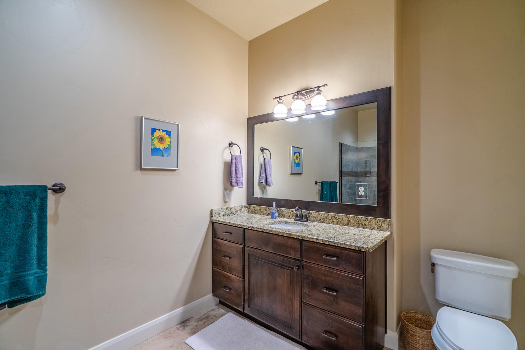 LEDGES OF ST GEORGE - Residential