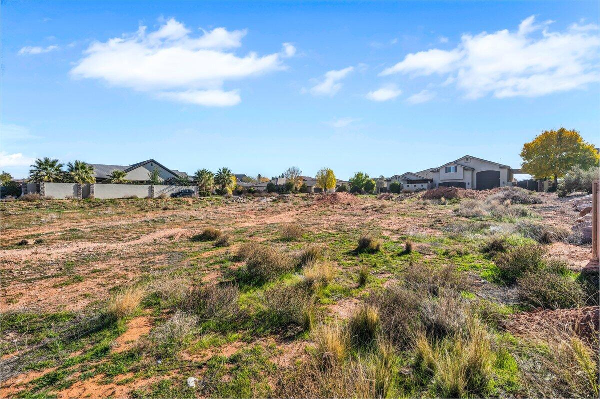 DIXIE SPRINGS - Land