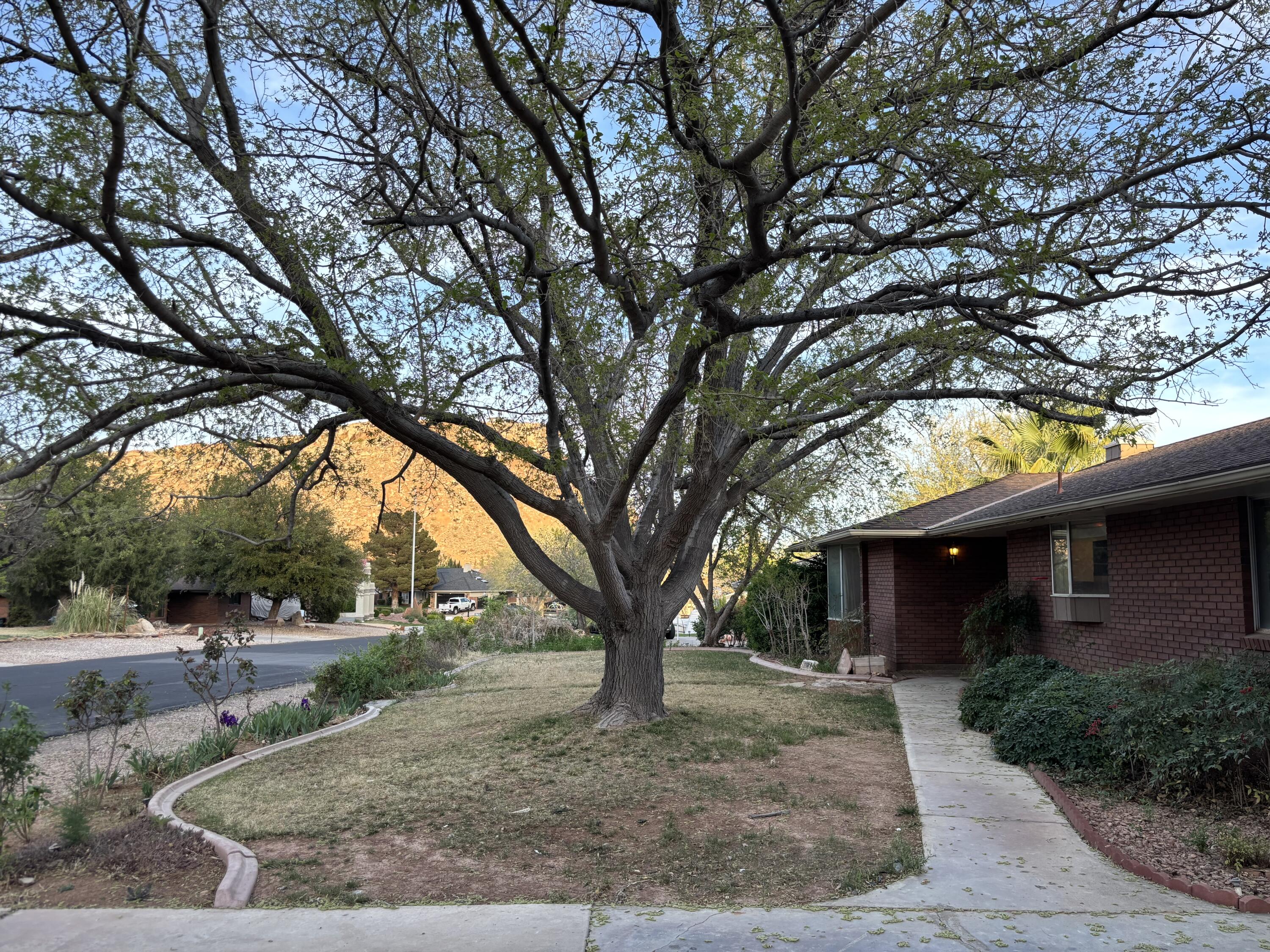 BLOOMINGTON COUNTRY CLUB - Residential