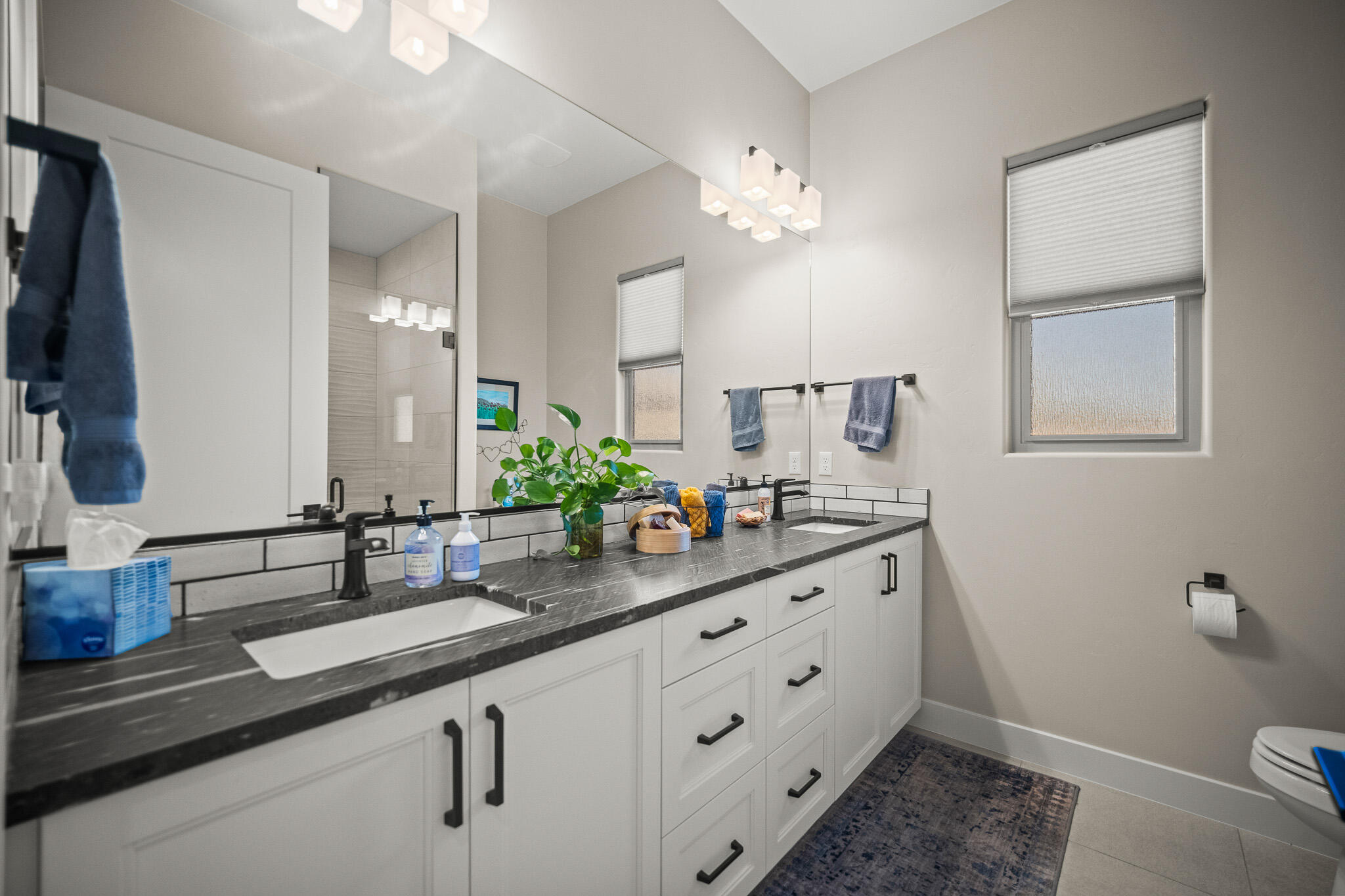 MOJAVE MESA - Residential