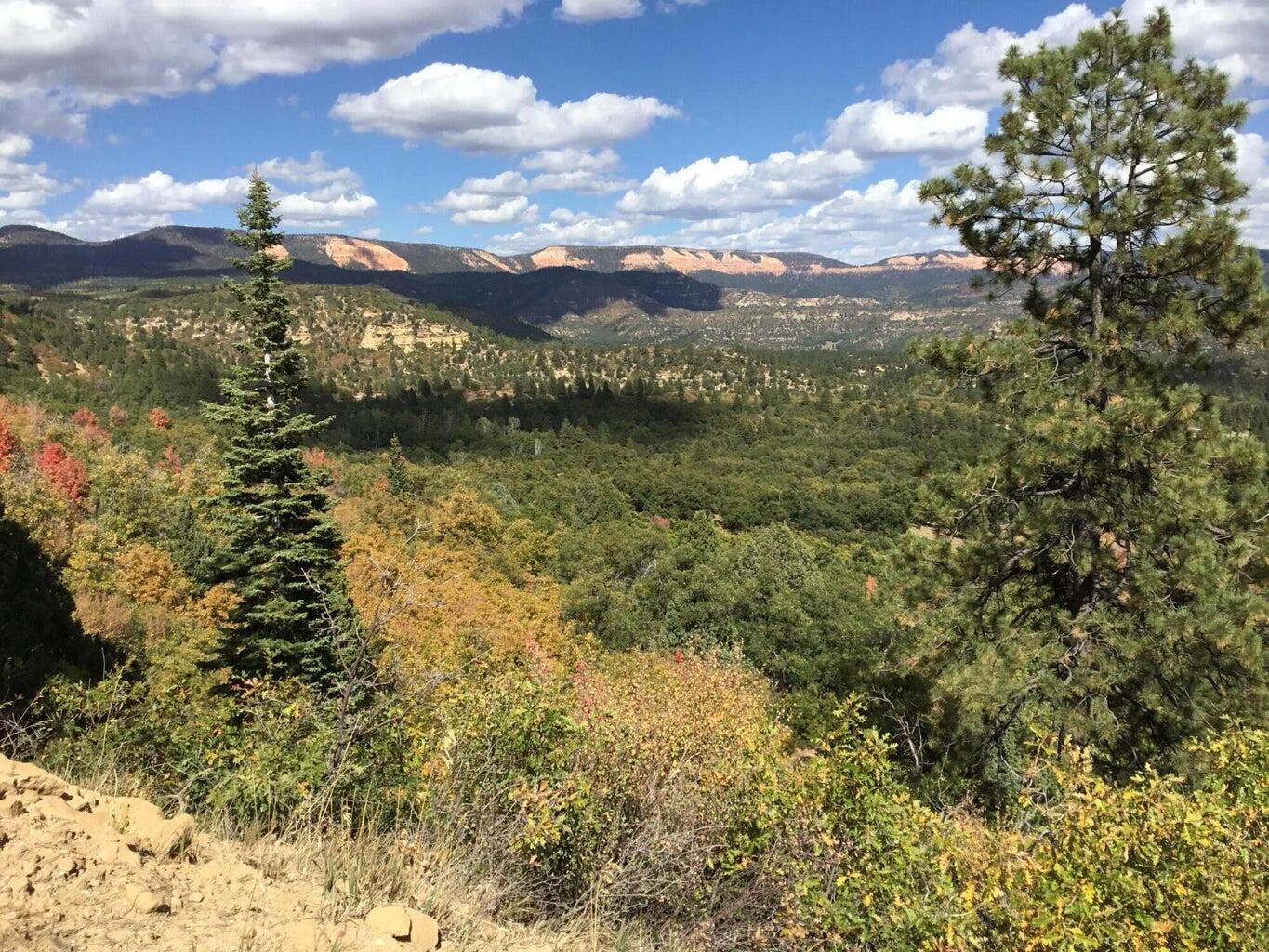 Stunning mountain acreage! Hopp Canyon is a sportsman dream. Plenty of wildlife. Beautiful, breathtaking natural scenery. Build your dream cabin on this private paradise secluded from the busy outside world. Perfect get-a-way for the outdoor enthusiast. Water Rights all with a priority date of 1856 81-2565 81-2567 81-2593