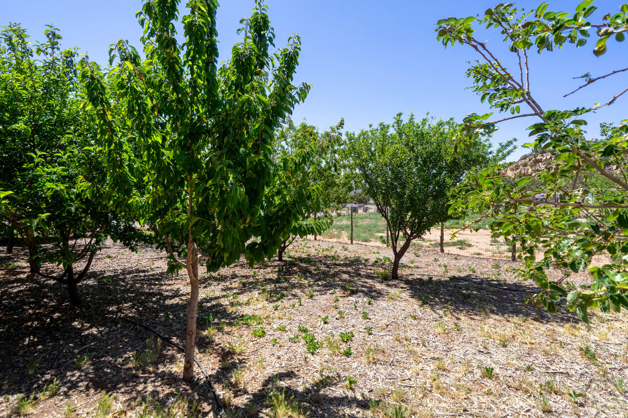 APPLE VALLEY RANCH - Residential