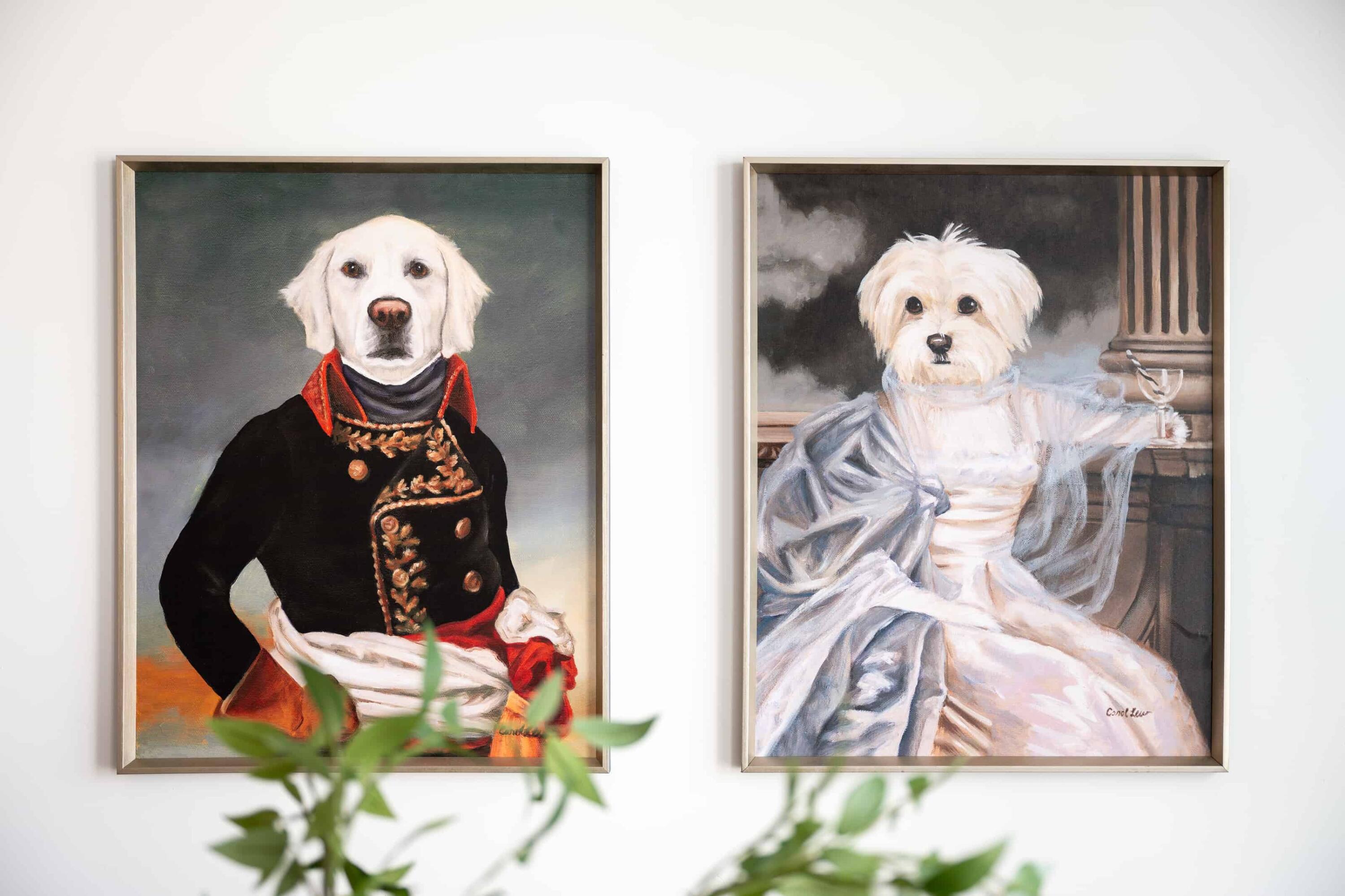 DESERT COLOR RESORT - Residential