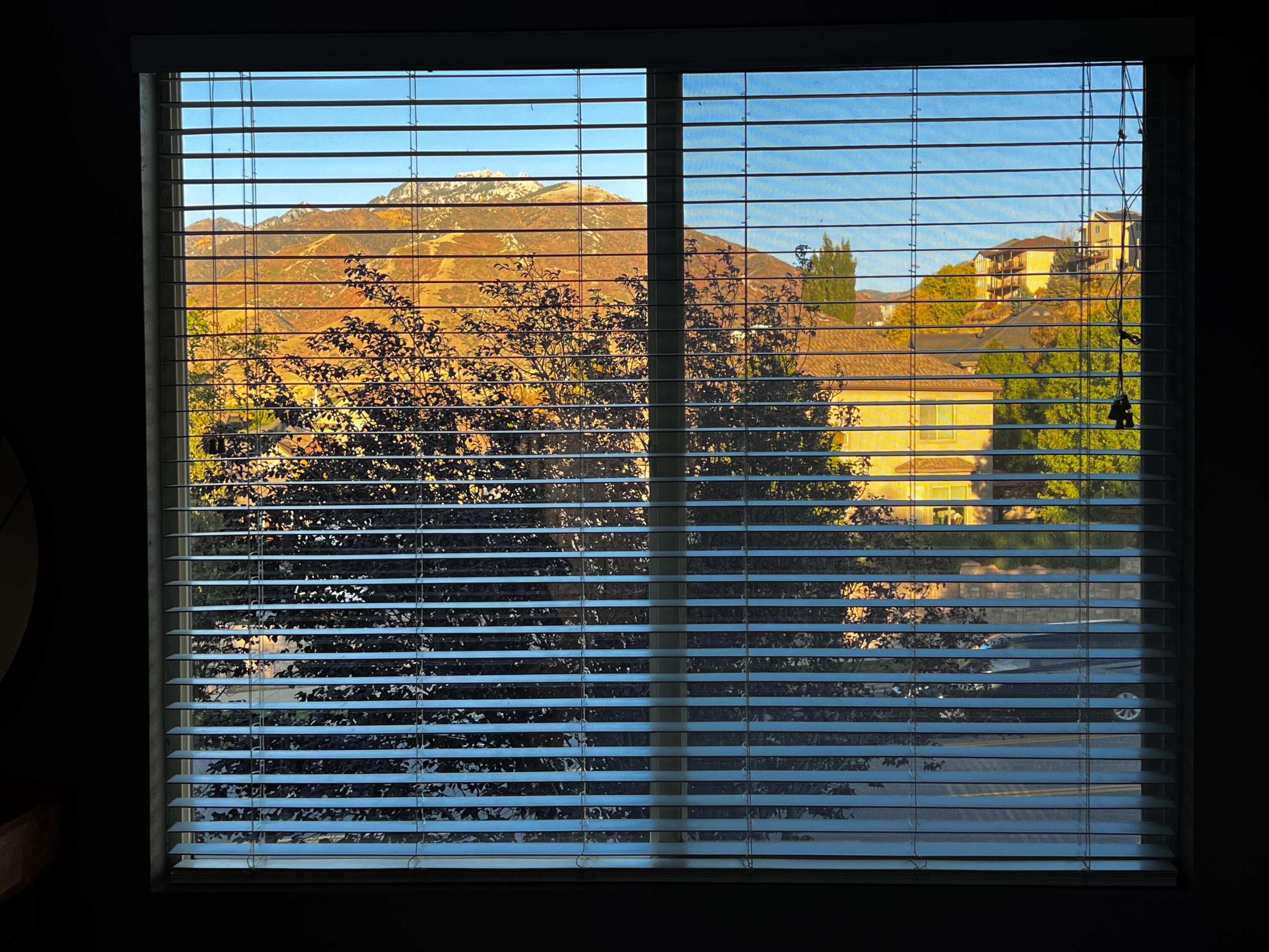 FIELDS - Residential