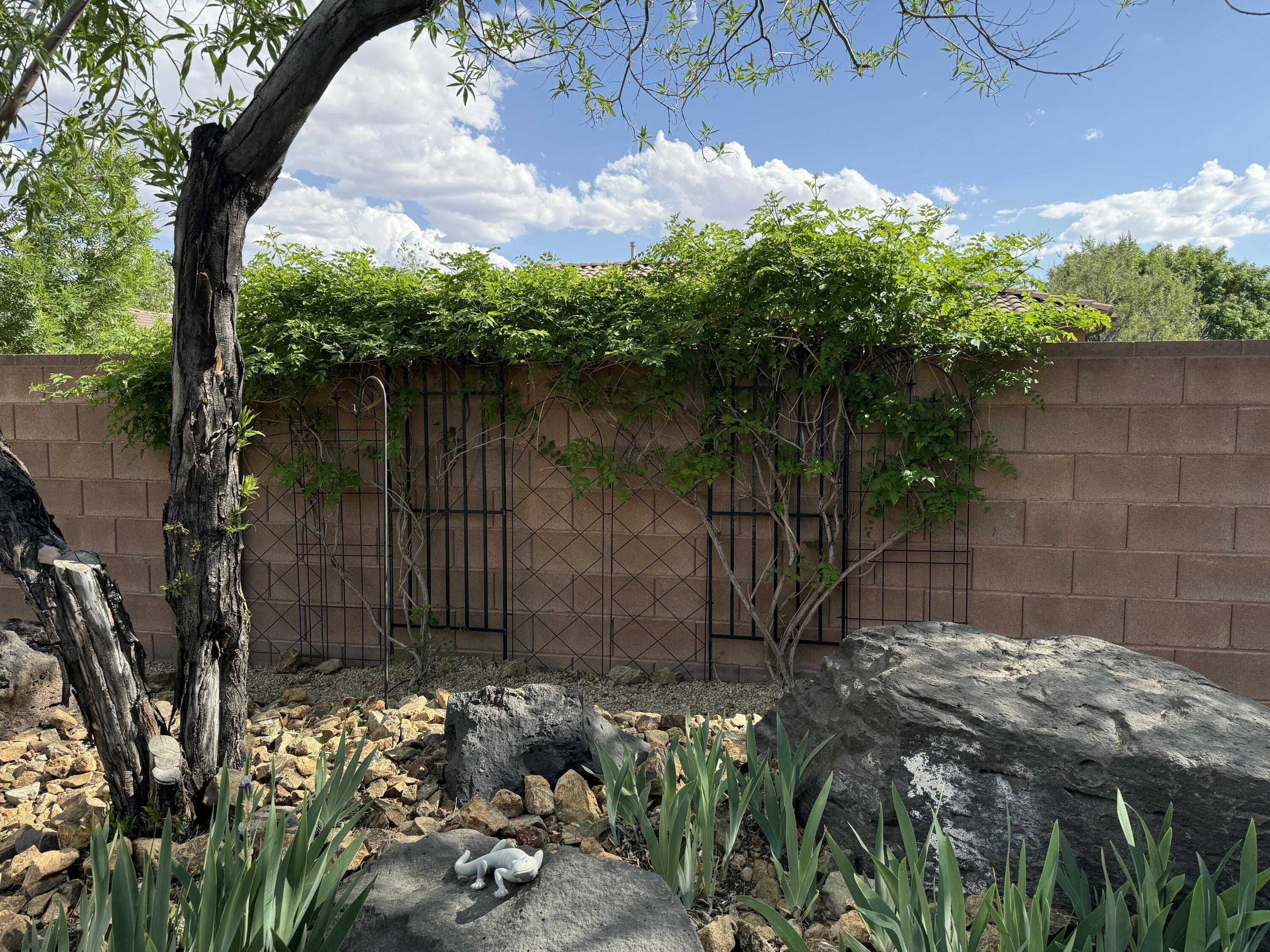 ROCK HAMPTON - Residential