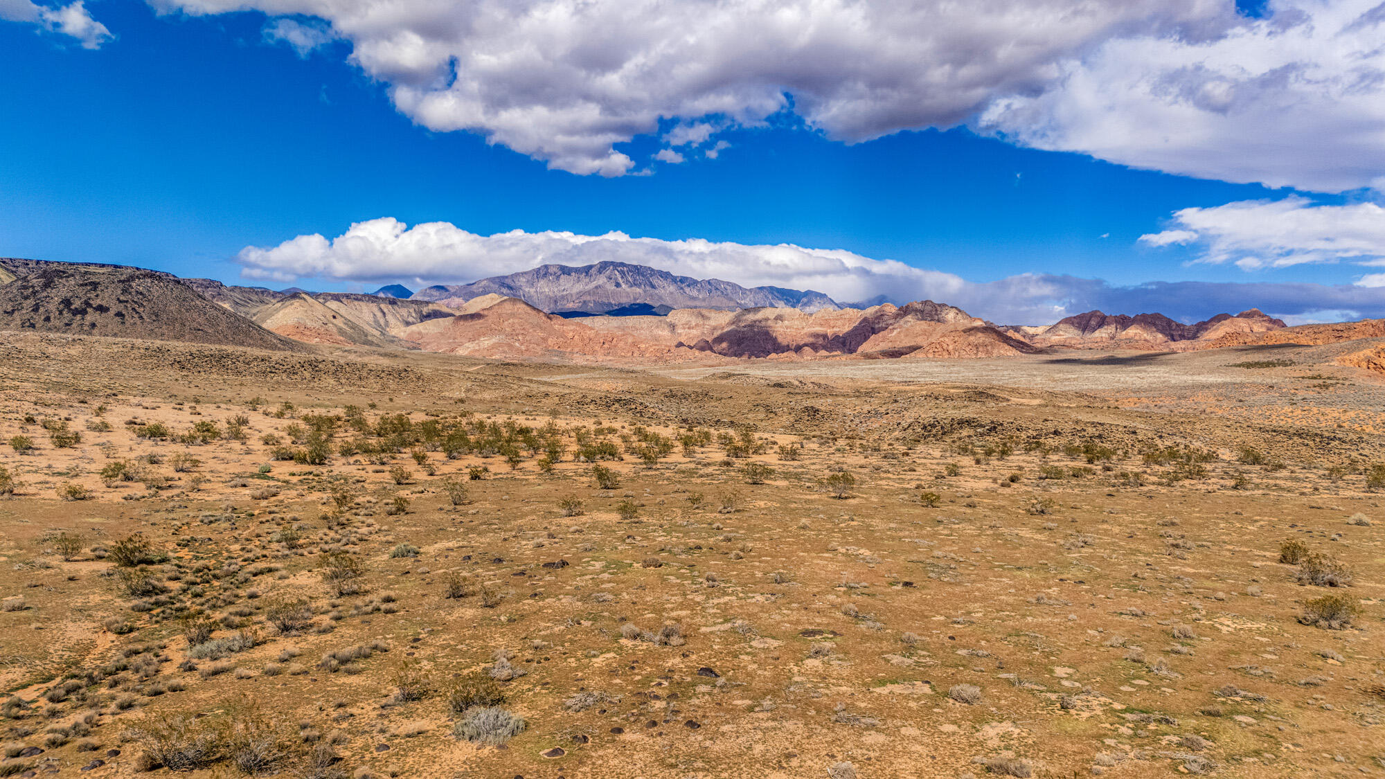 WASHINGTON VISTA - Residential