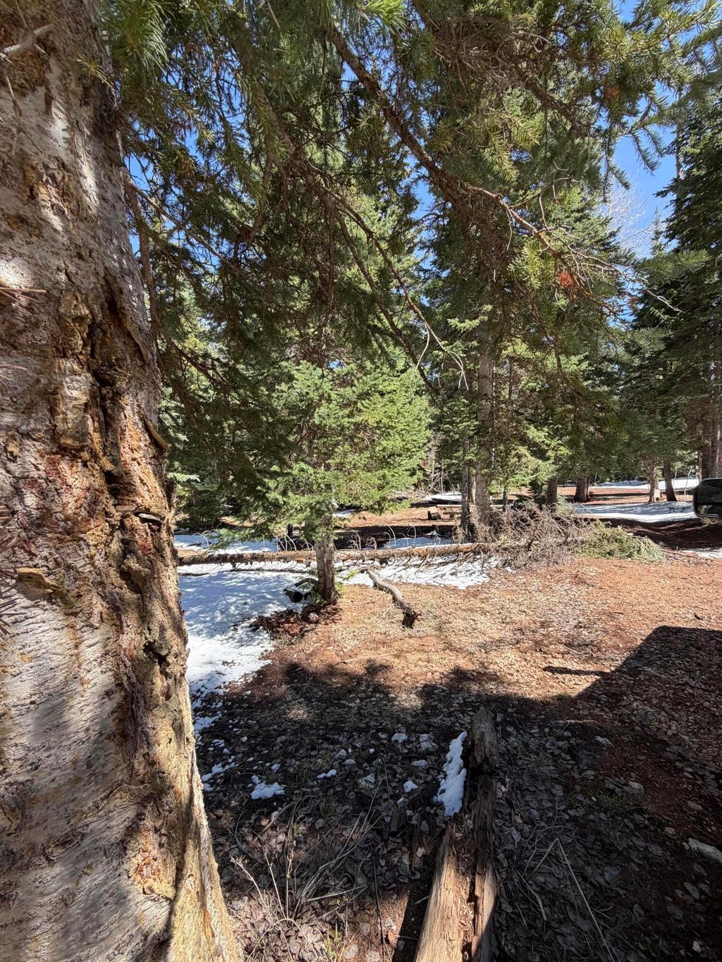 Photo of 75 Buckhorn Trail, Duck Creek, UT 84762 (MLS # 26-271410)