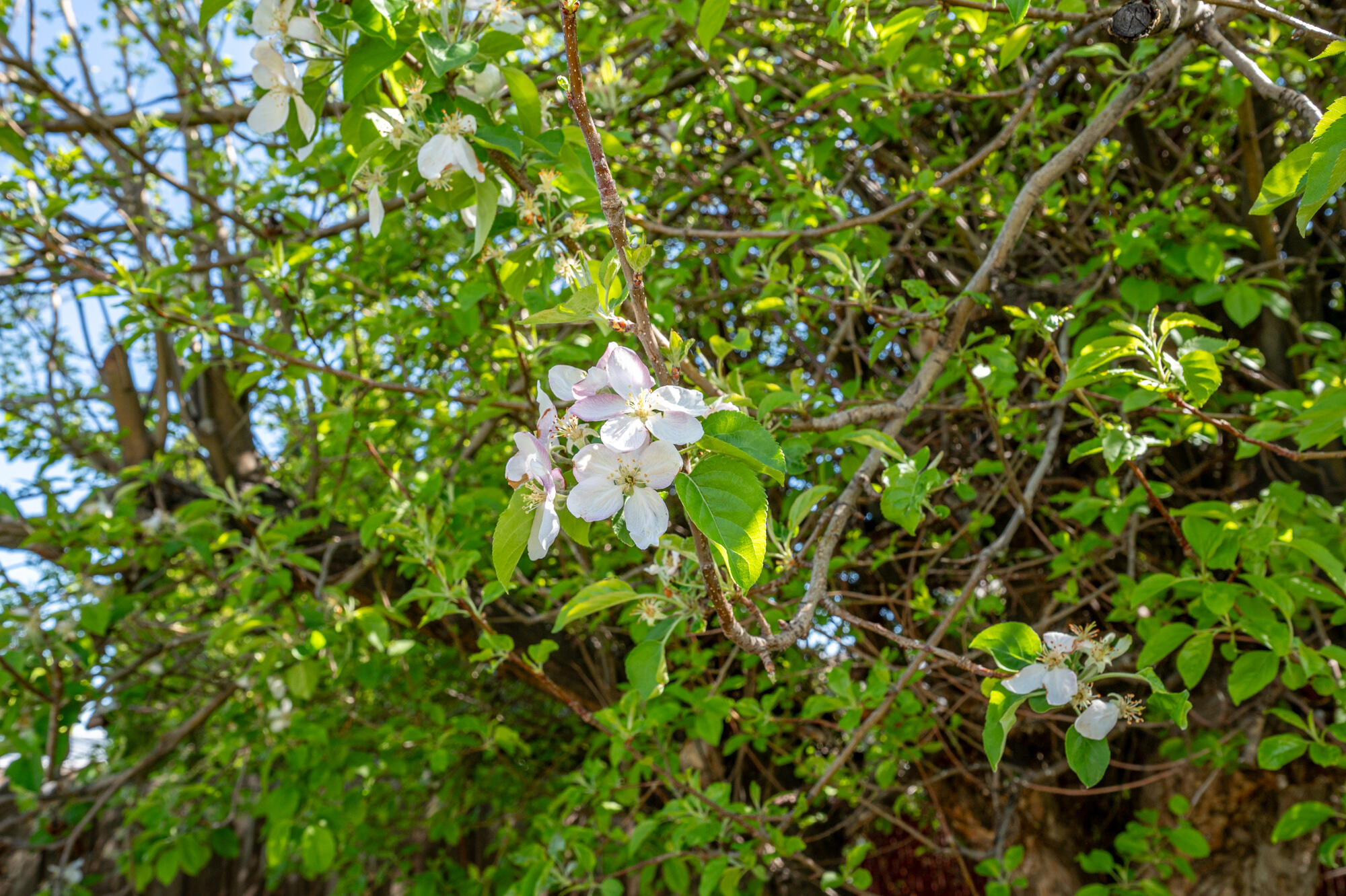 NOT AVAILABLE - Residential