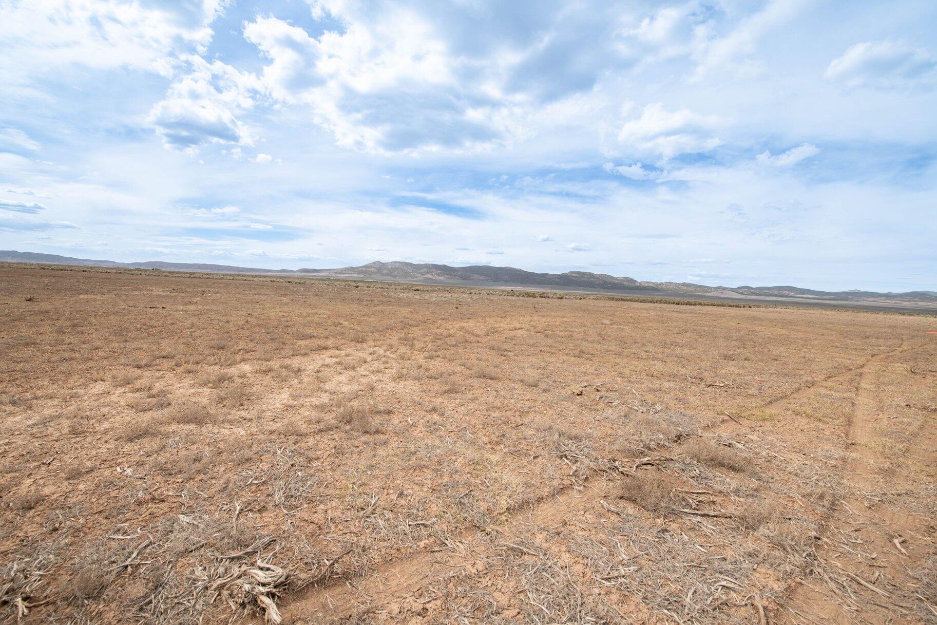 NOT AVAILABLE - Land