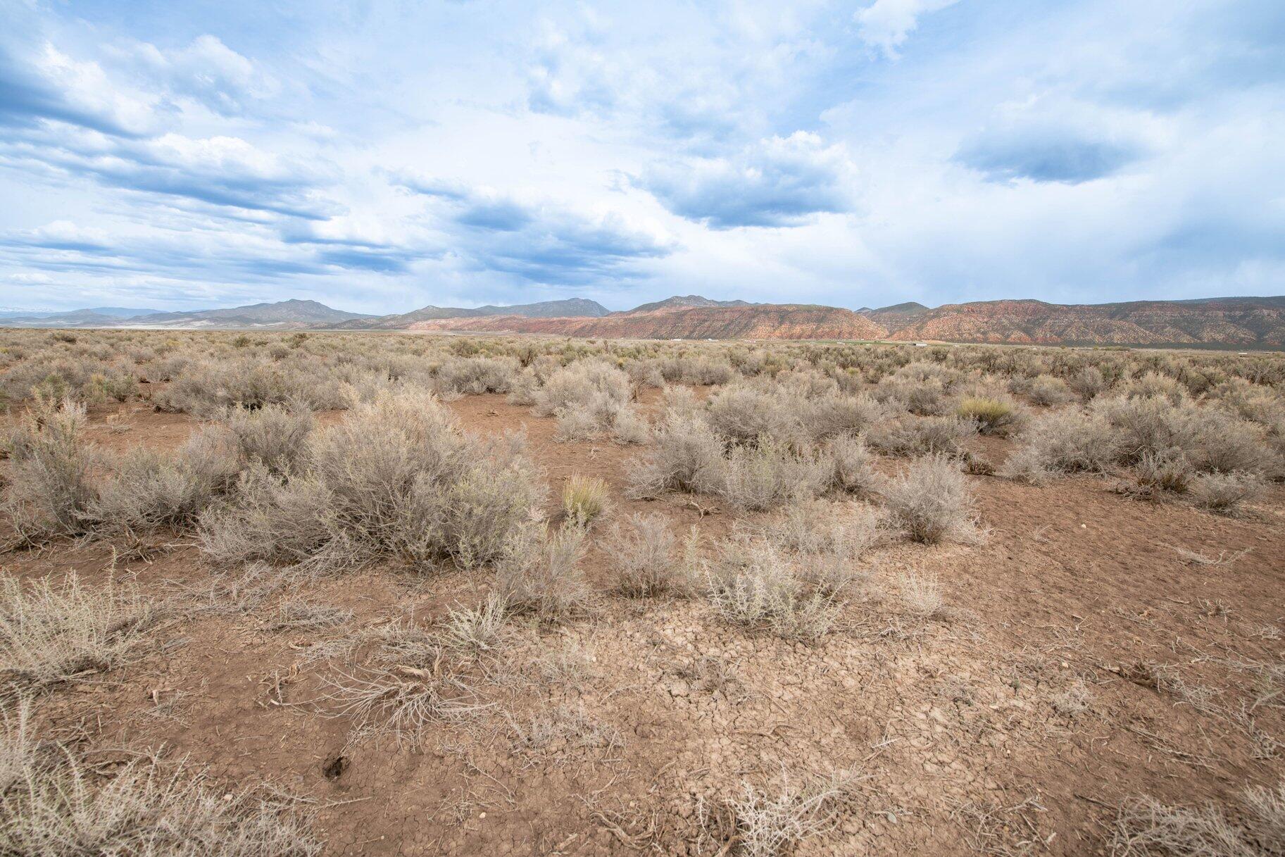 NOT AVAILABLE - Land