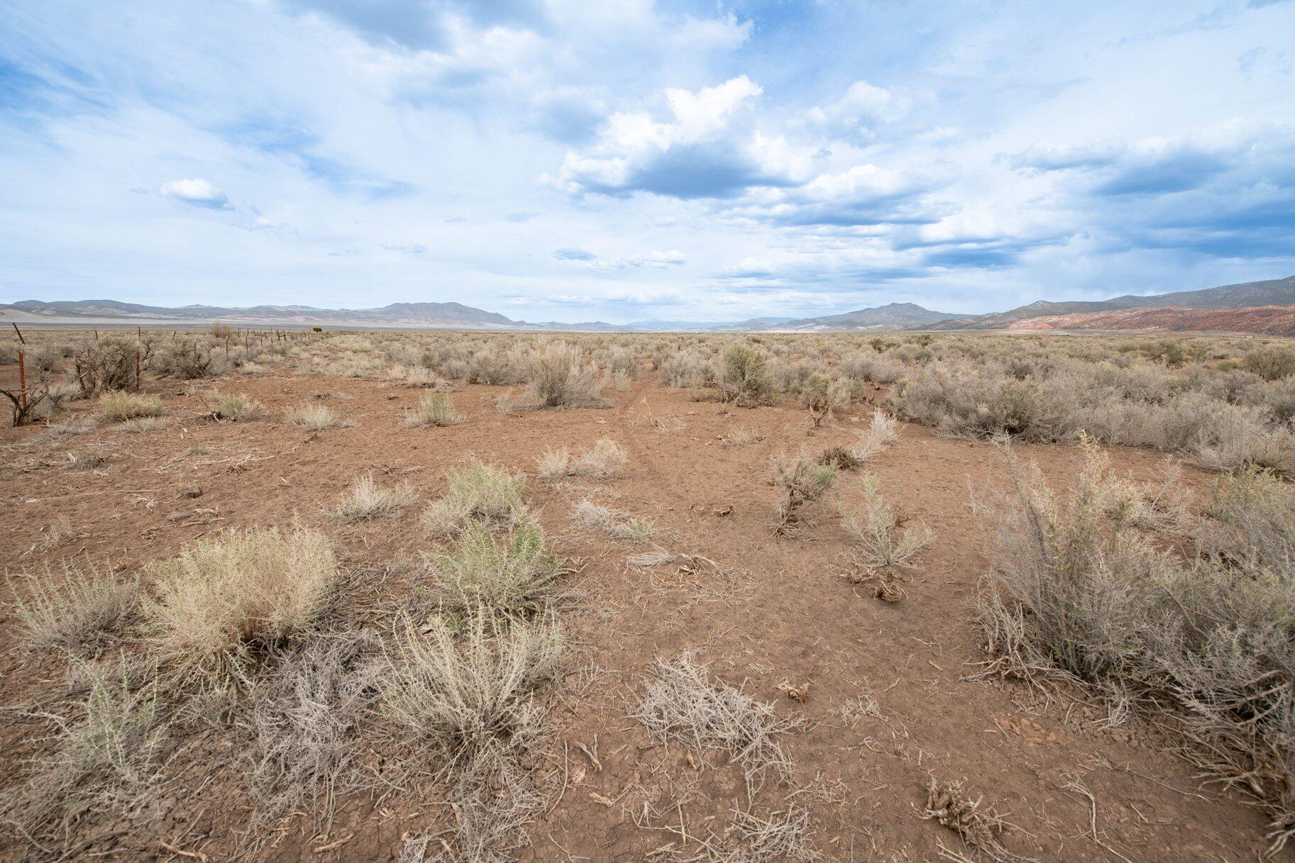 NOT AVAILABLE - Land