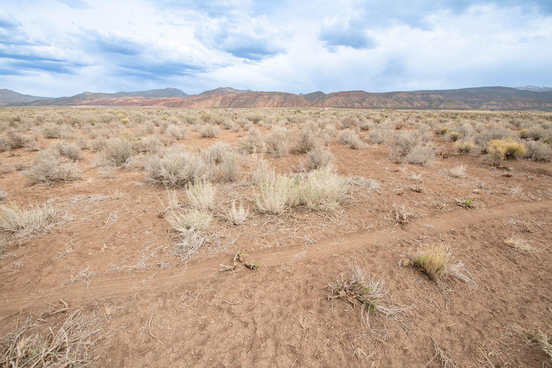 NOT AVAILABLE - Land