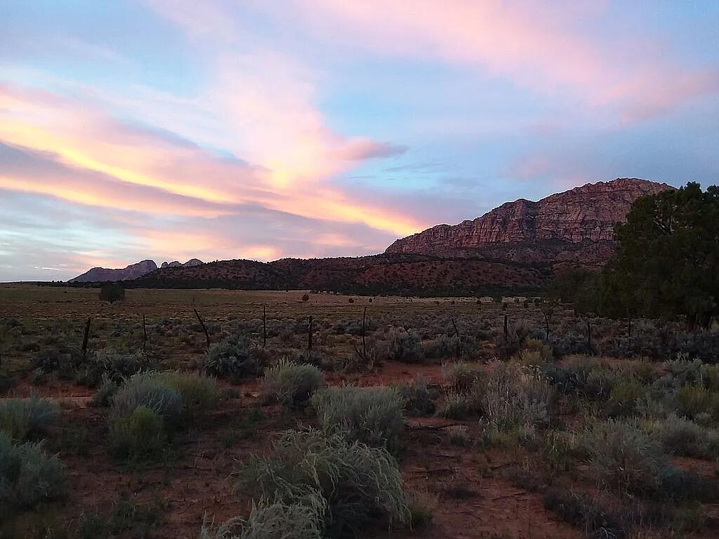 CEDAR POINT - Residential