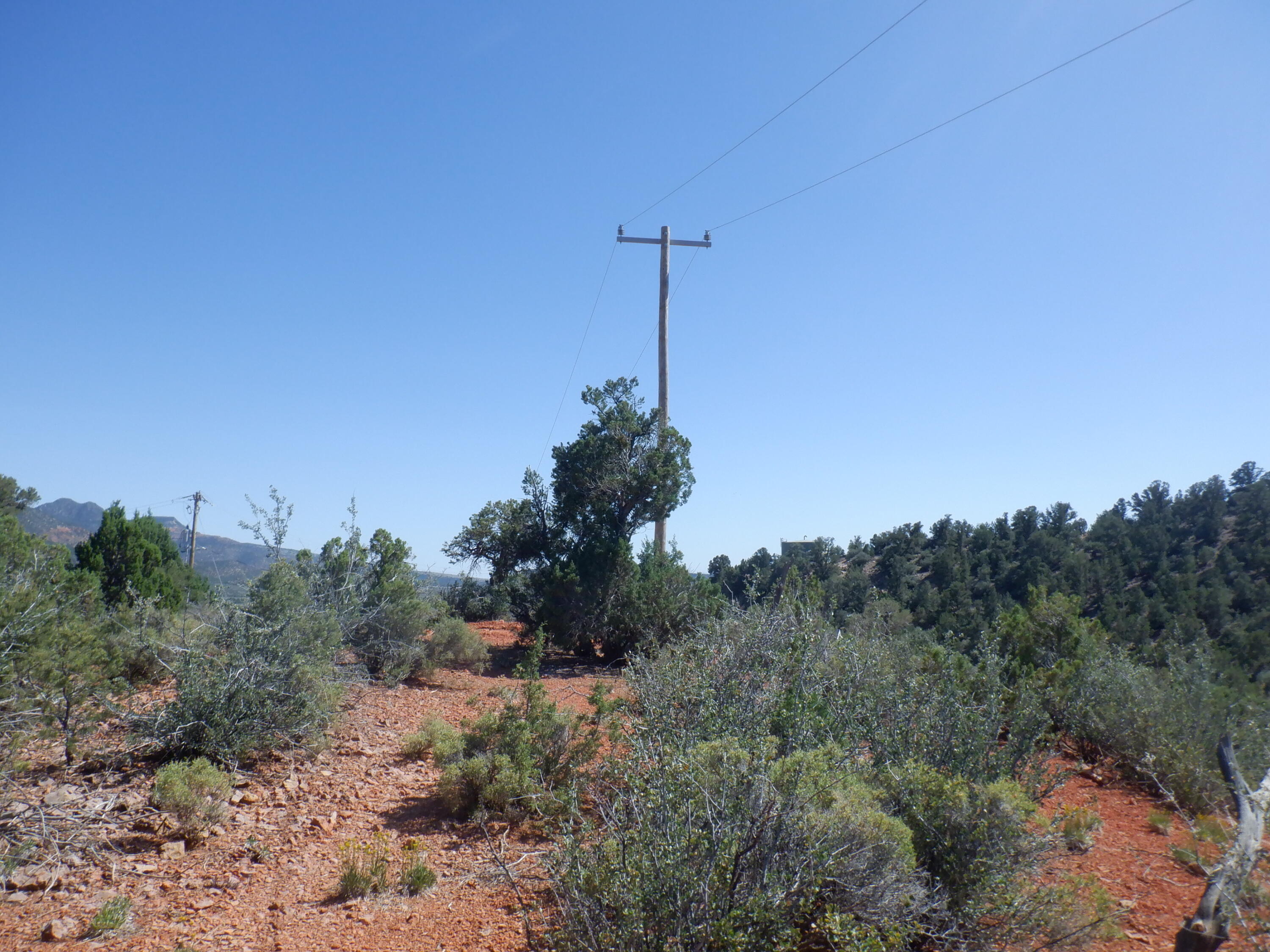 DIXIE DEER ESTATES - Land