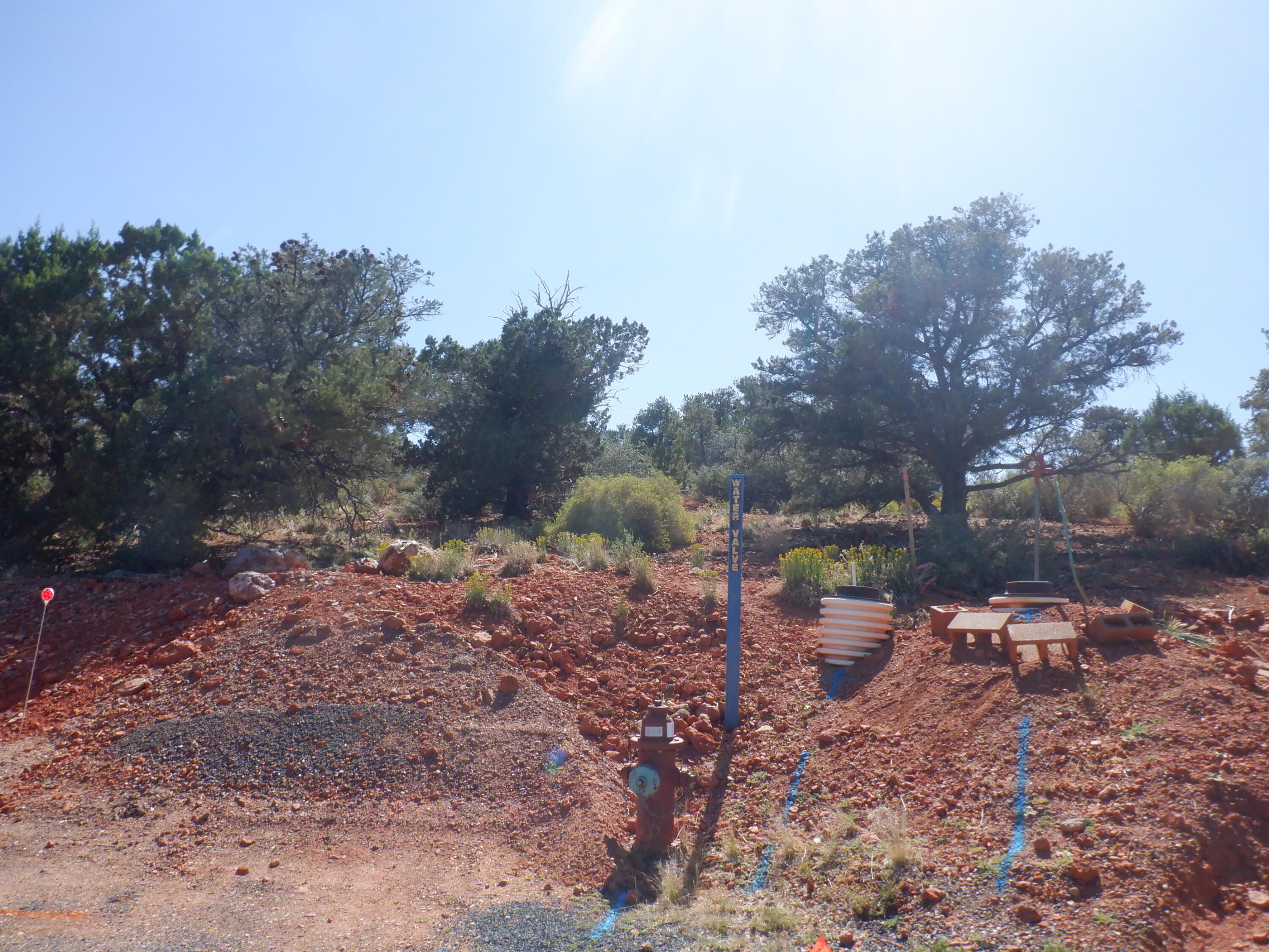 DIXIE DEER ESTATES - Land