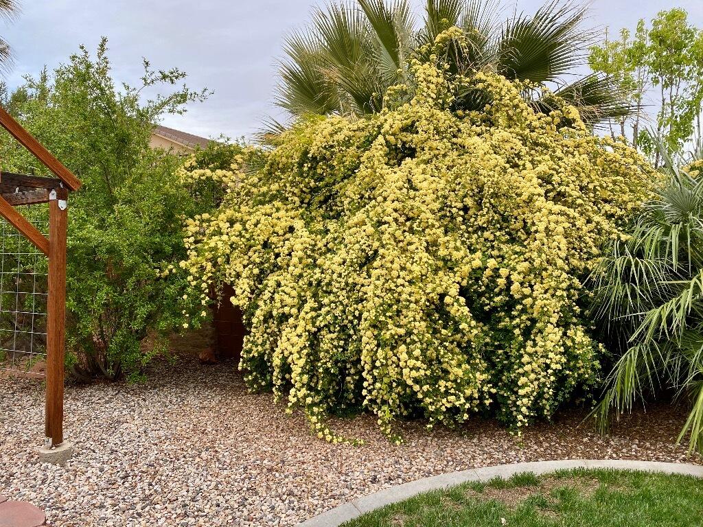 ESCALERA - Residential