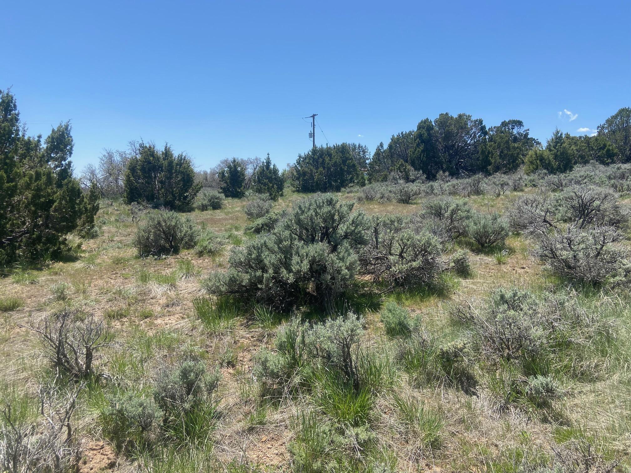 MOUNTAIN MEADOW ESTATES - Land