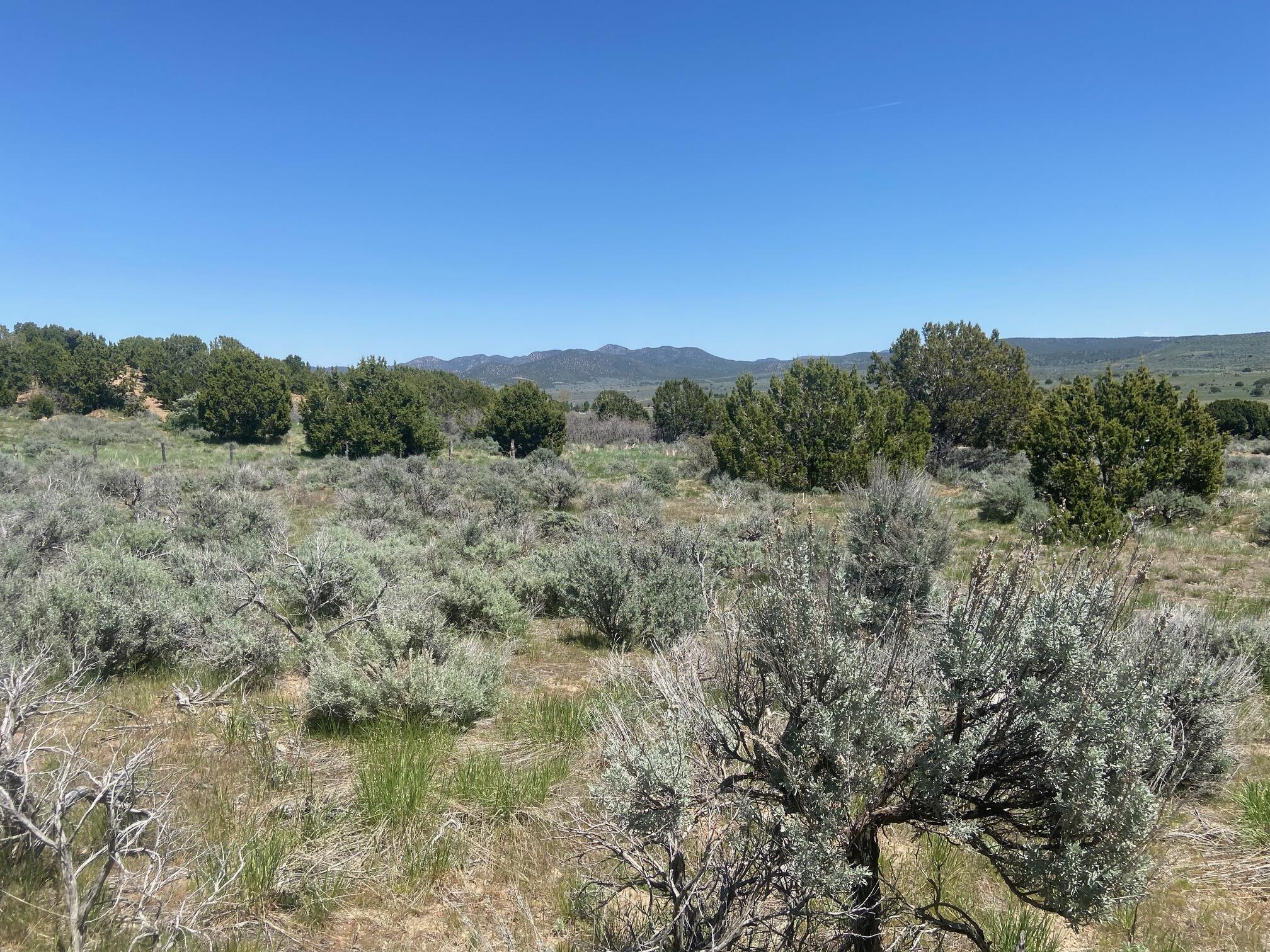 MOUNTAIN MEADOW ESTATES - Land