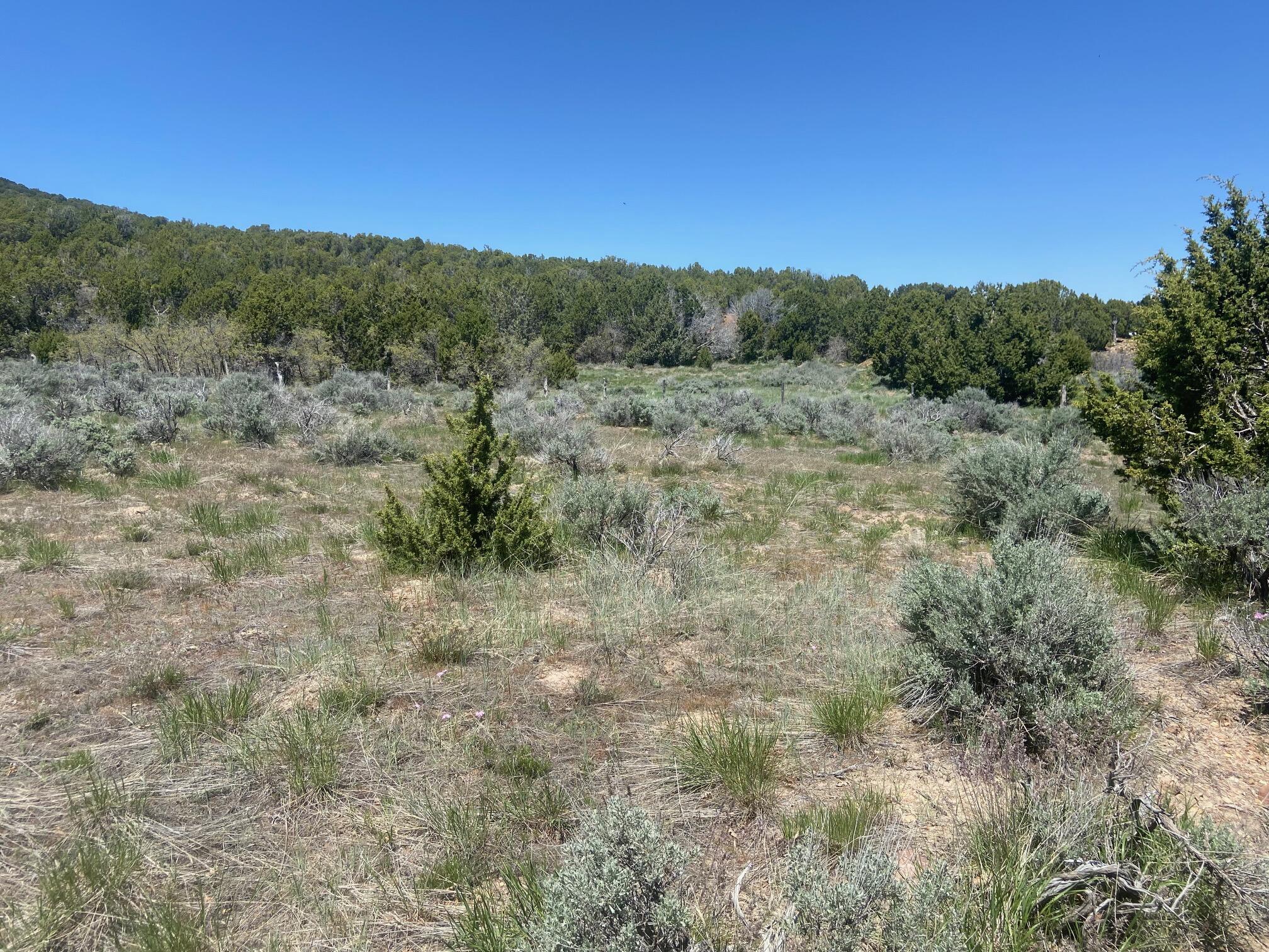 MOUNTAIN MEADOW ESTATES - Land