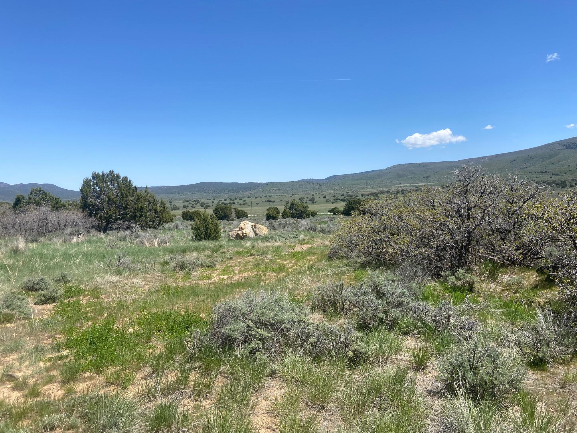 MOUNTAIN MEADOW ESTATES - Land