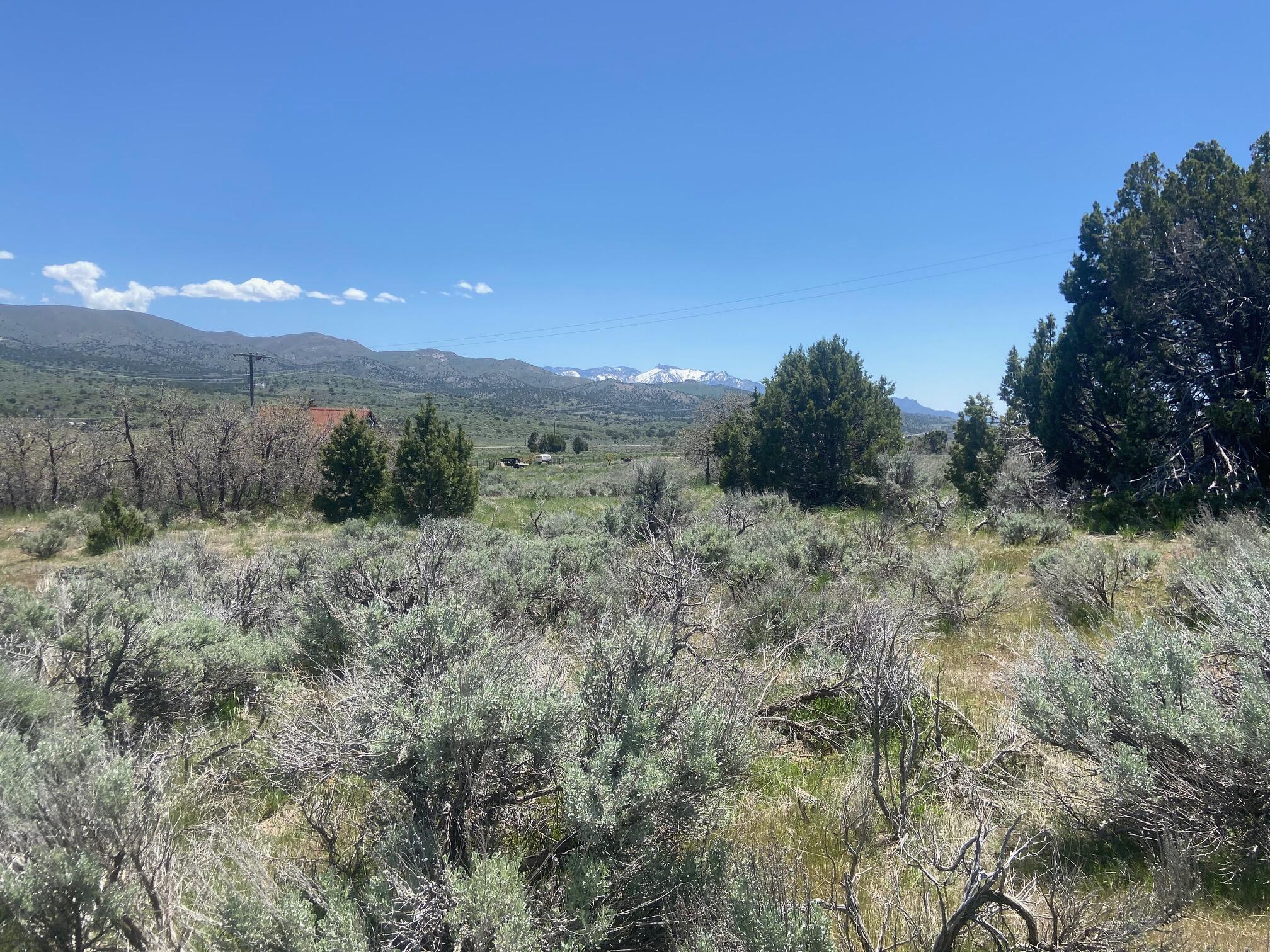 MOUNTAIN MEADOW ESTATES - Land