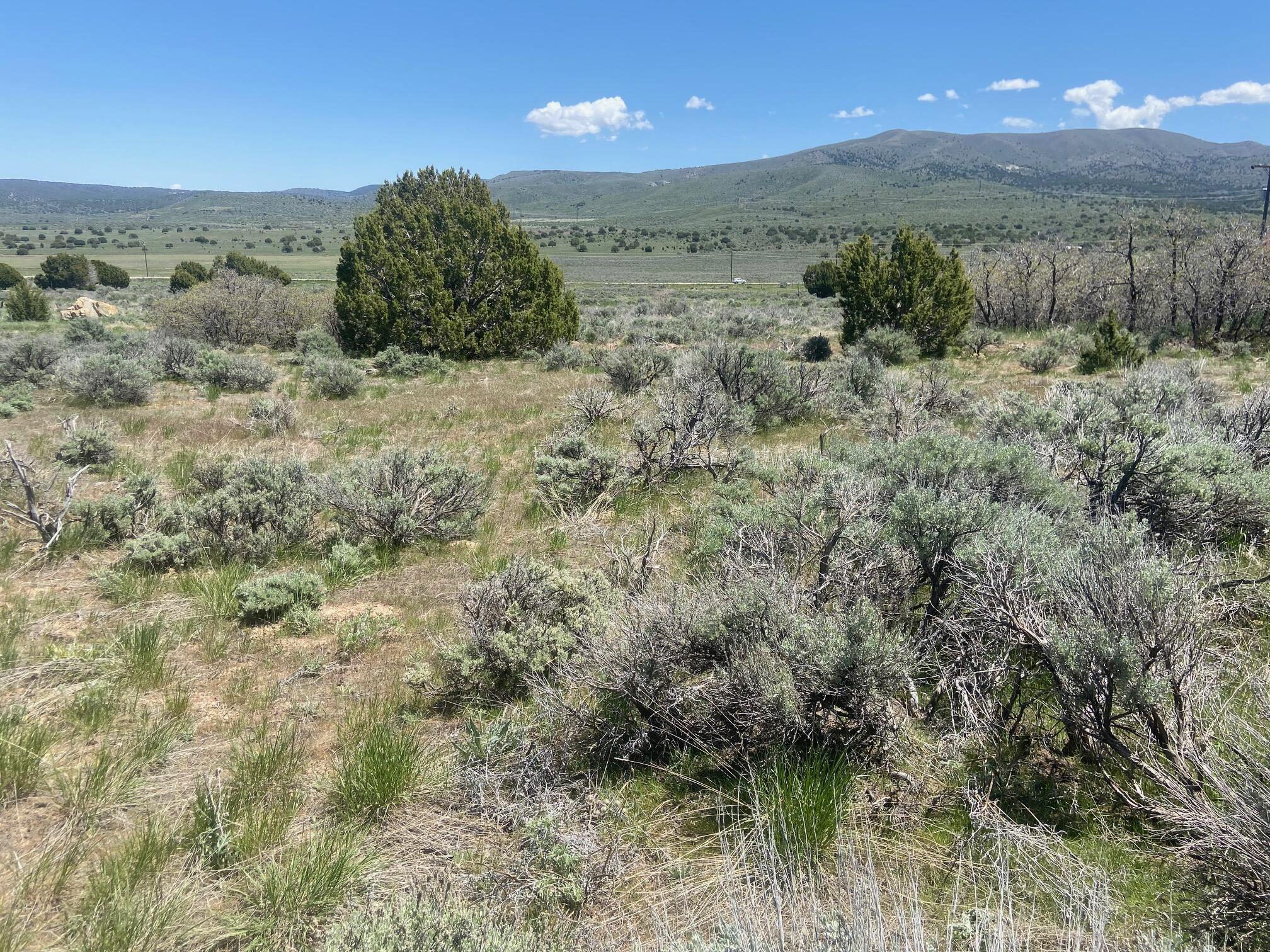 MOUNTAIN MEADOW ESTATES - Land