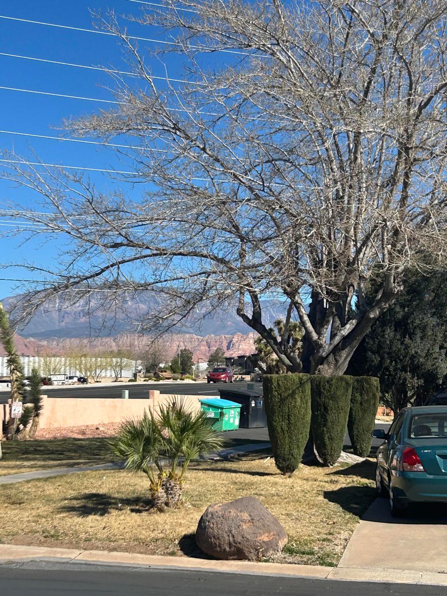 Beautiful RV Lot located next to Large Shade Trees and Green Grass.  The Palms St. George is a 55+ Adult Community.  Centrally located and yet Private.  Beautiful Mountain Views and Steps away from the Virgin River.  A Spacious Community Center includes game room, fitness area, and coin operated laundry room.  Access to Indoor pool and outdoor BBQ area.  Perfect for full time residents or a seasonal retreat. Enjoy St. George with our close proximity to National Parks and Fabulous Weather.