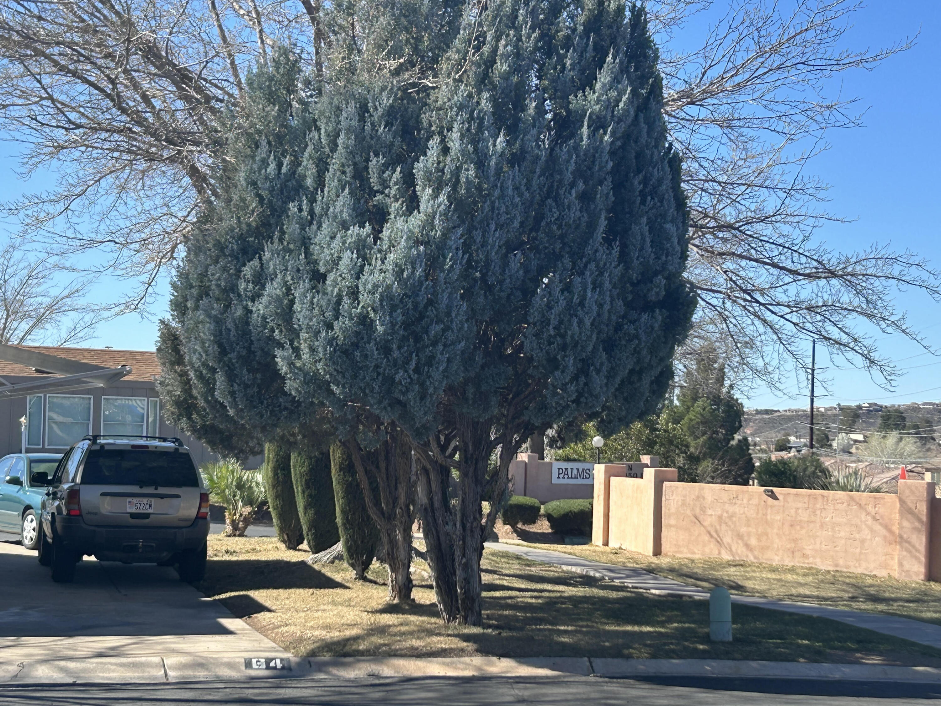 PALMS OF ST GEORGE - Land