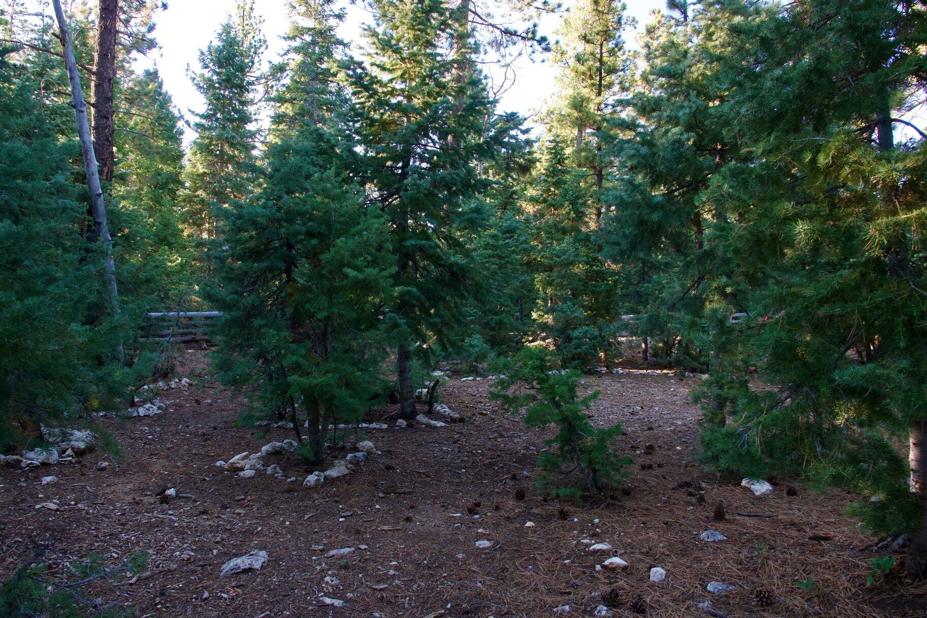 MOUNTAIN VIEW ESTATES - Residential