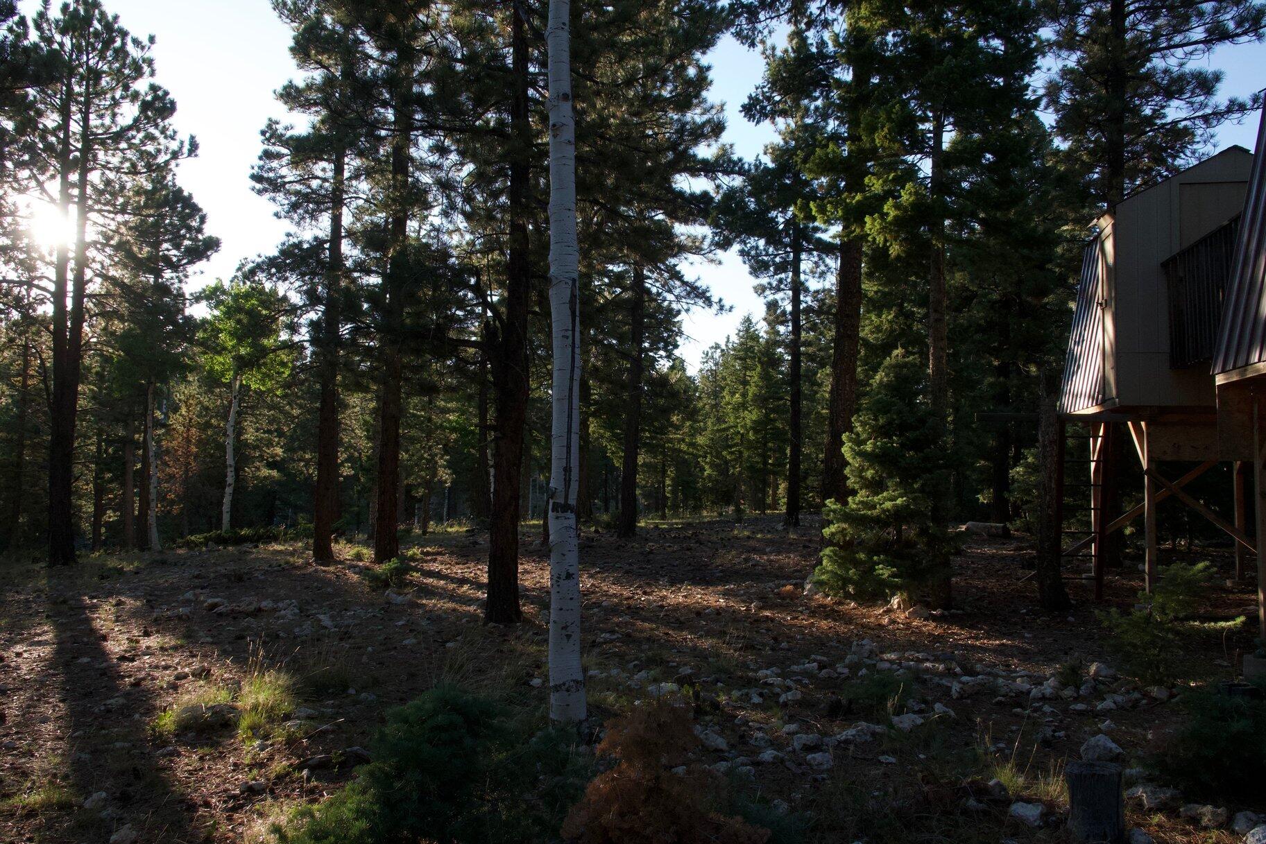 MOUNTAIN VIEW ESTATES - Residential