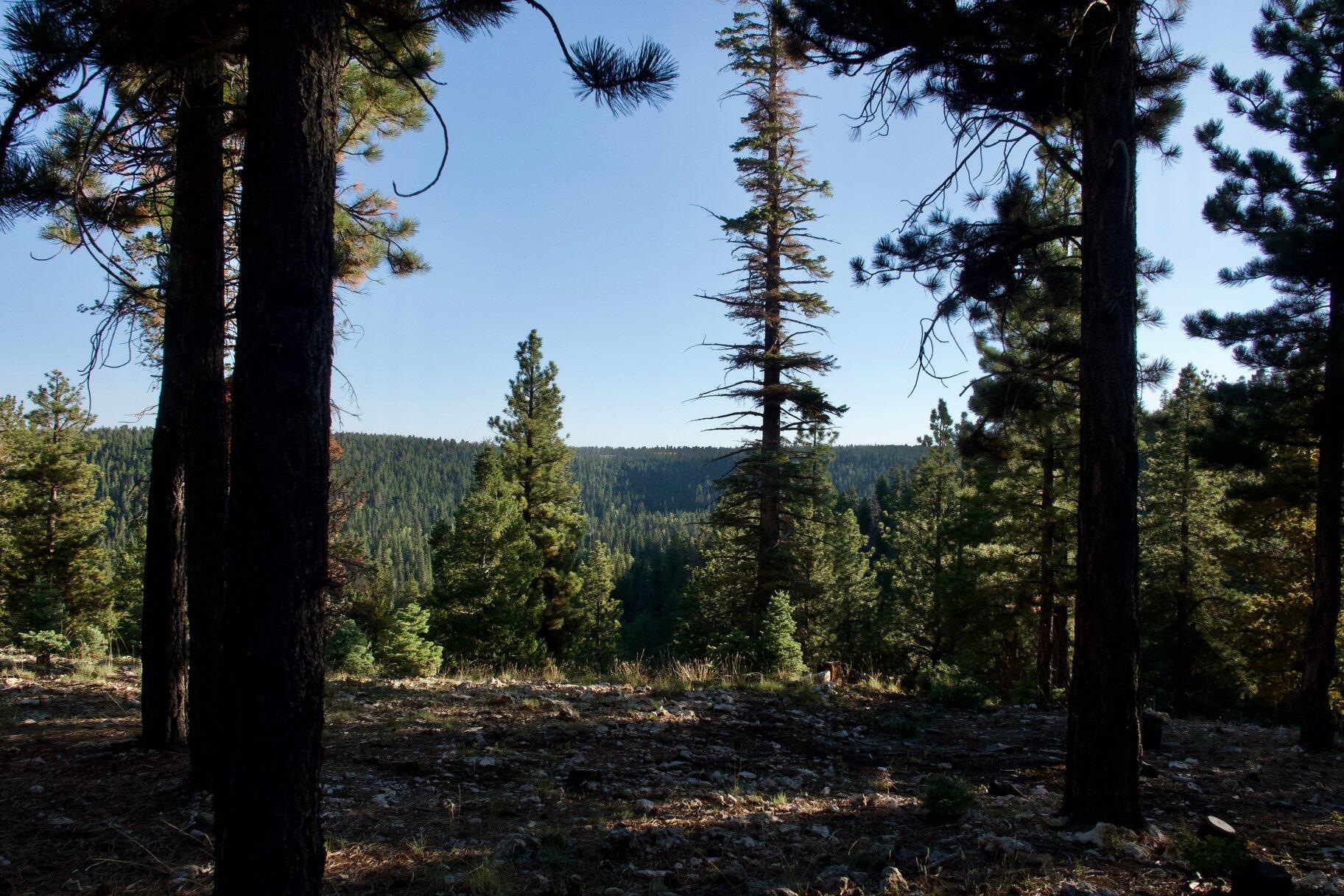 MOUNTAIN VIEW ESTATES - Residential