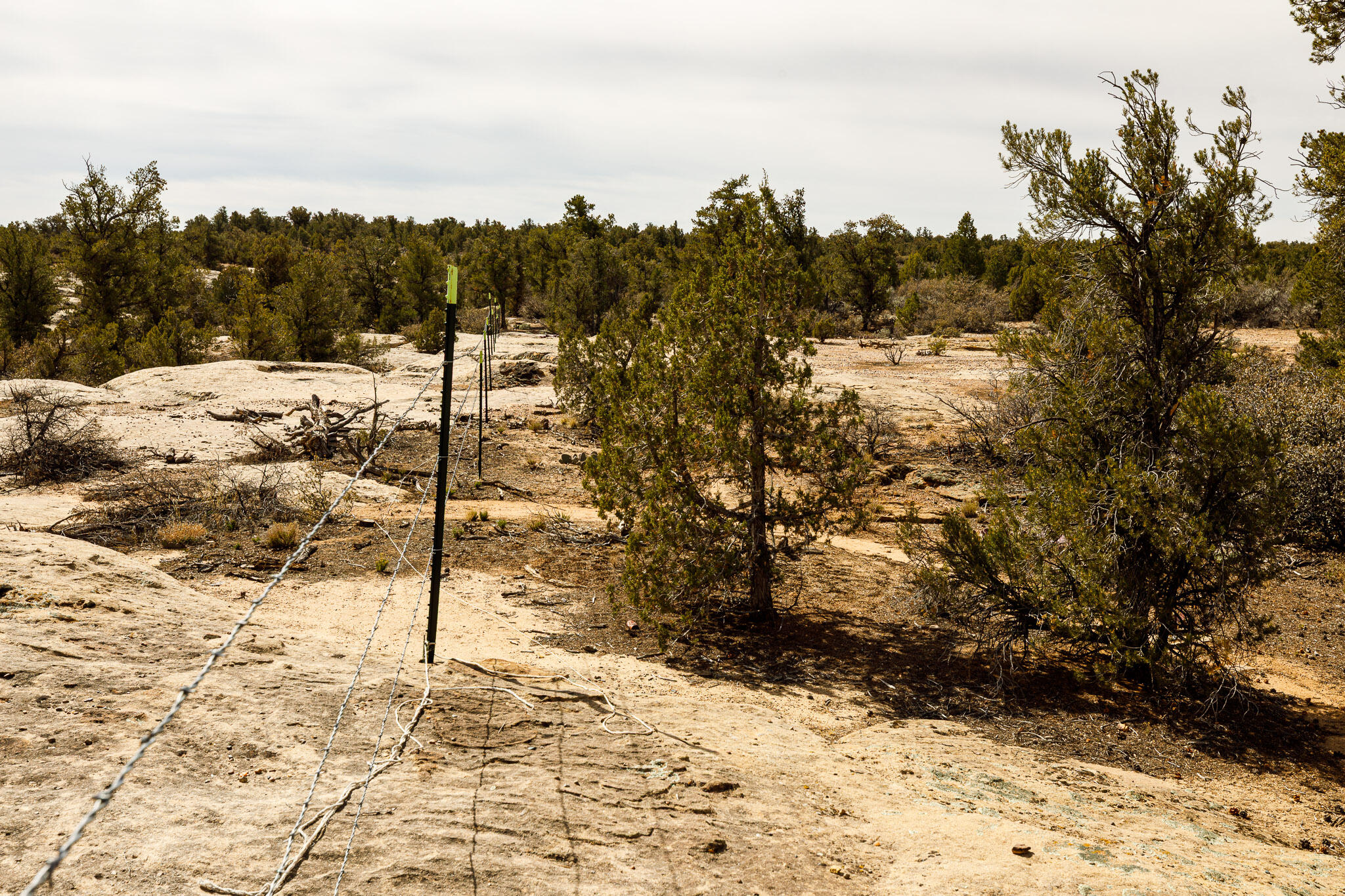 APPLE VALLEY TOWNSITE - Land