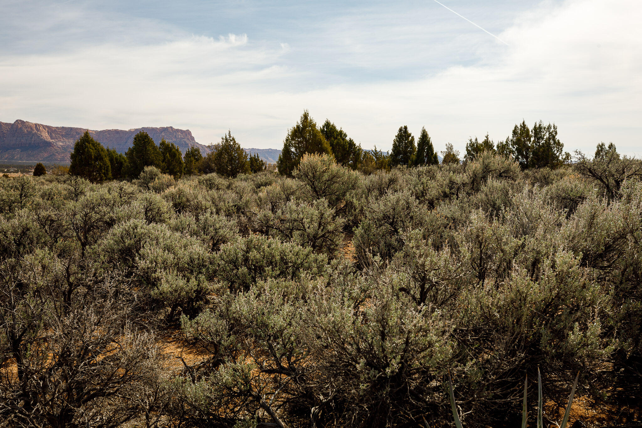 APPLE VALLEY TOWNSITE - Land