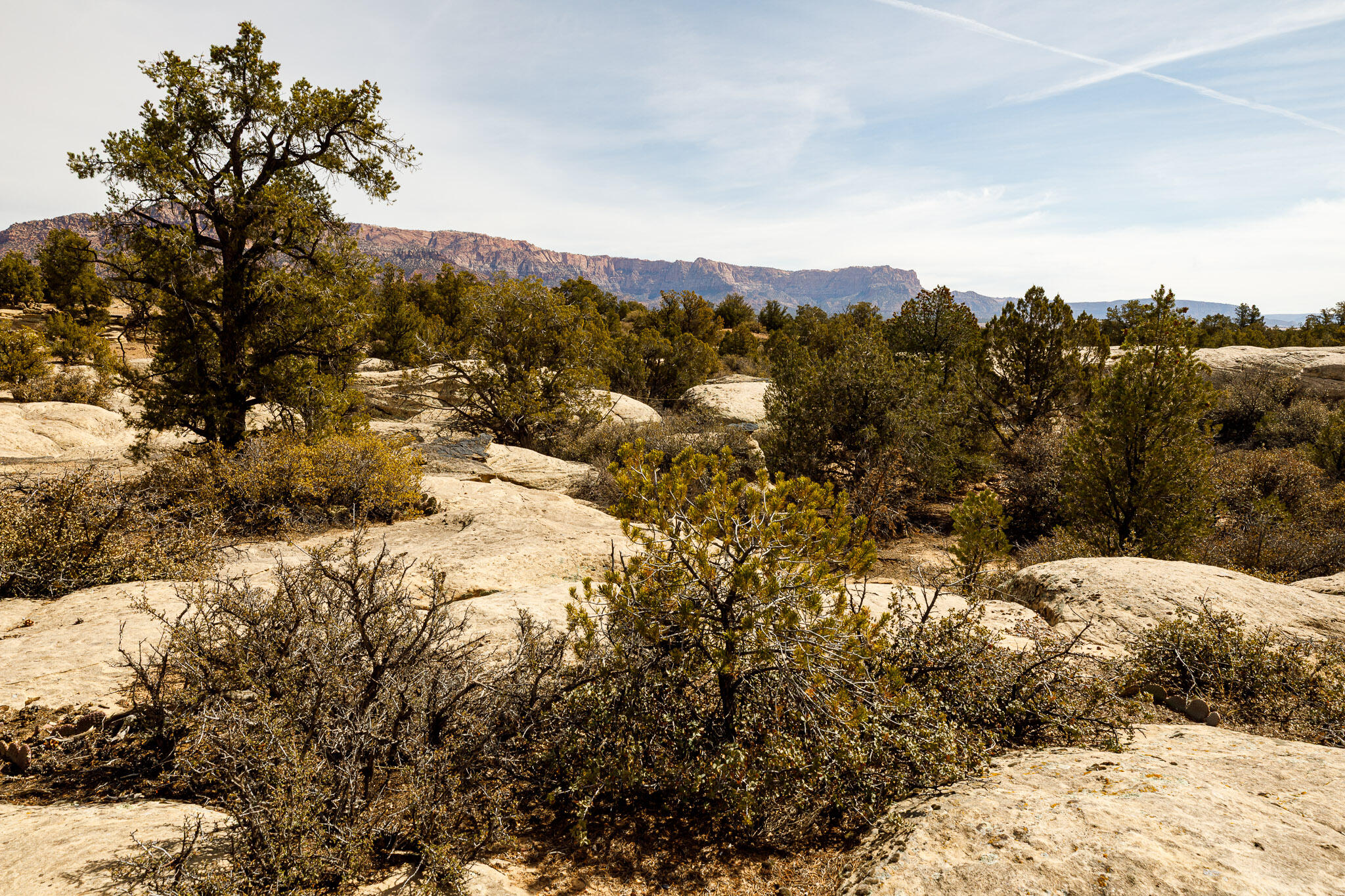 APPLE VALLEY TOWNSITE - Land