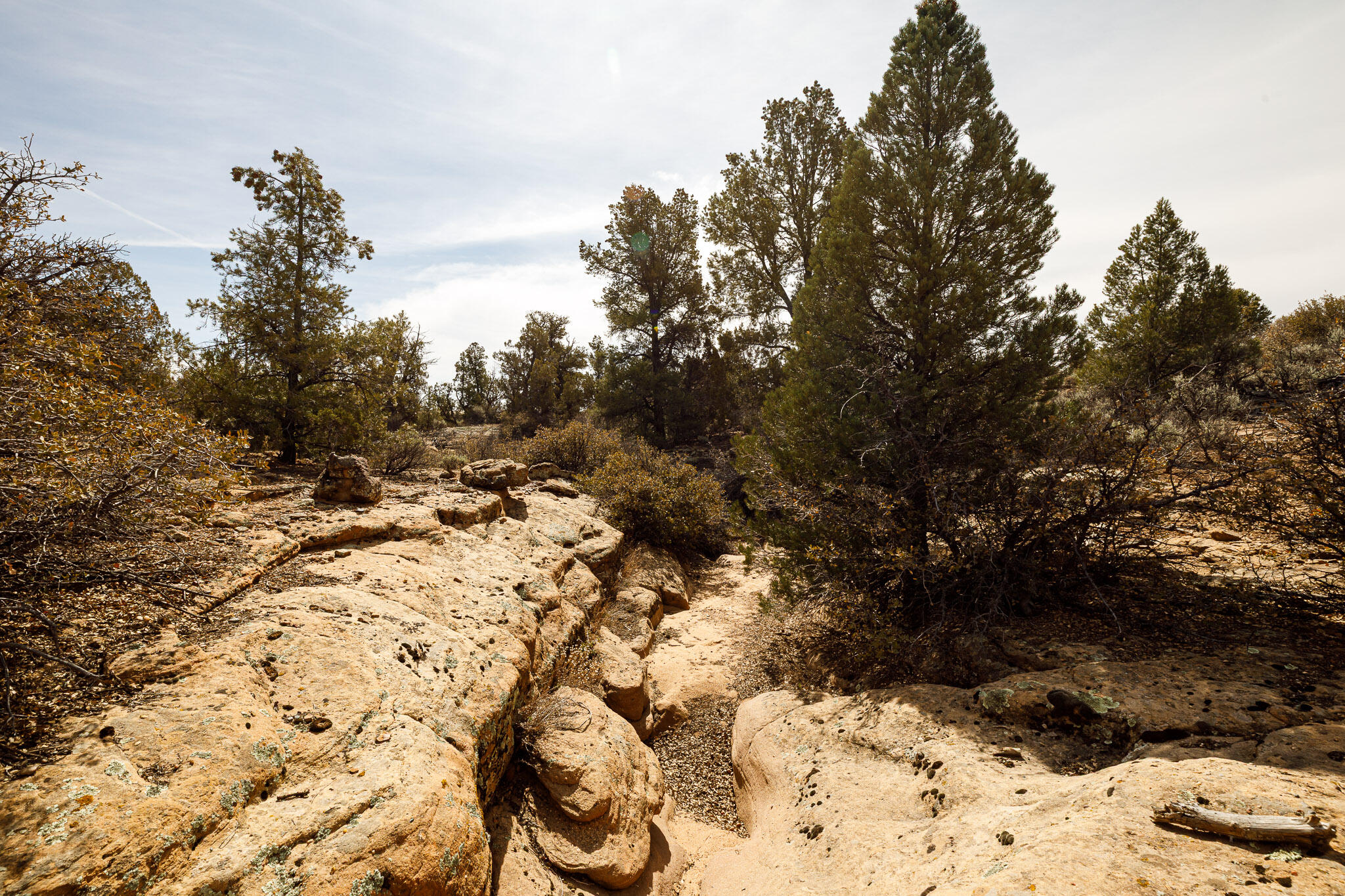 APPLE VALLEY TOWNSITE - Land