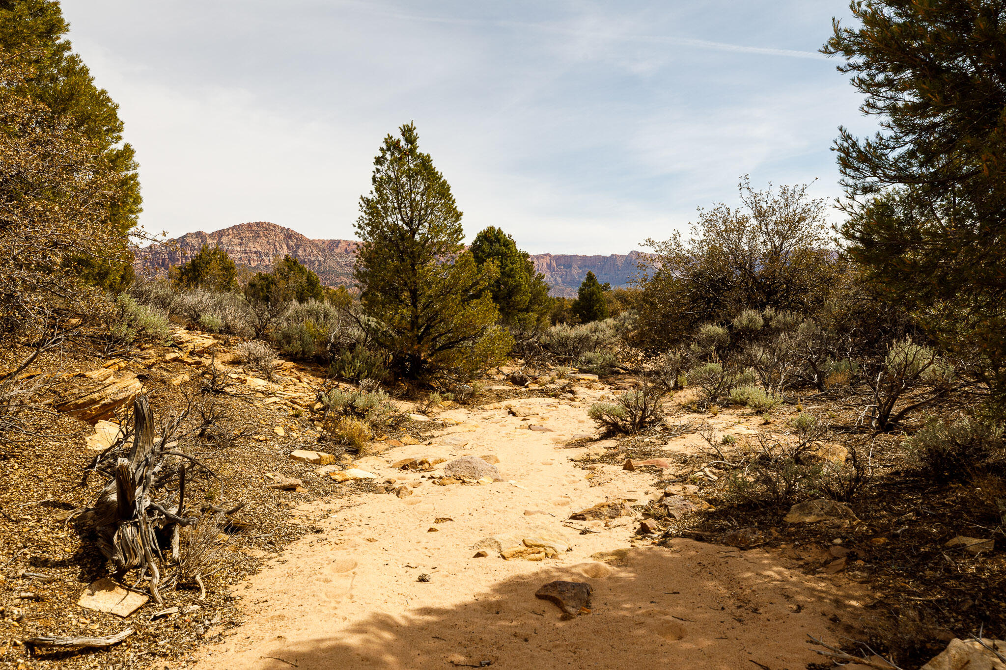 APPLE VALLEY TOWNSITE - Land
