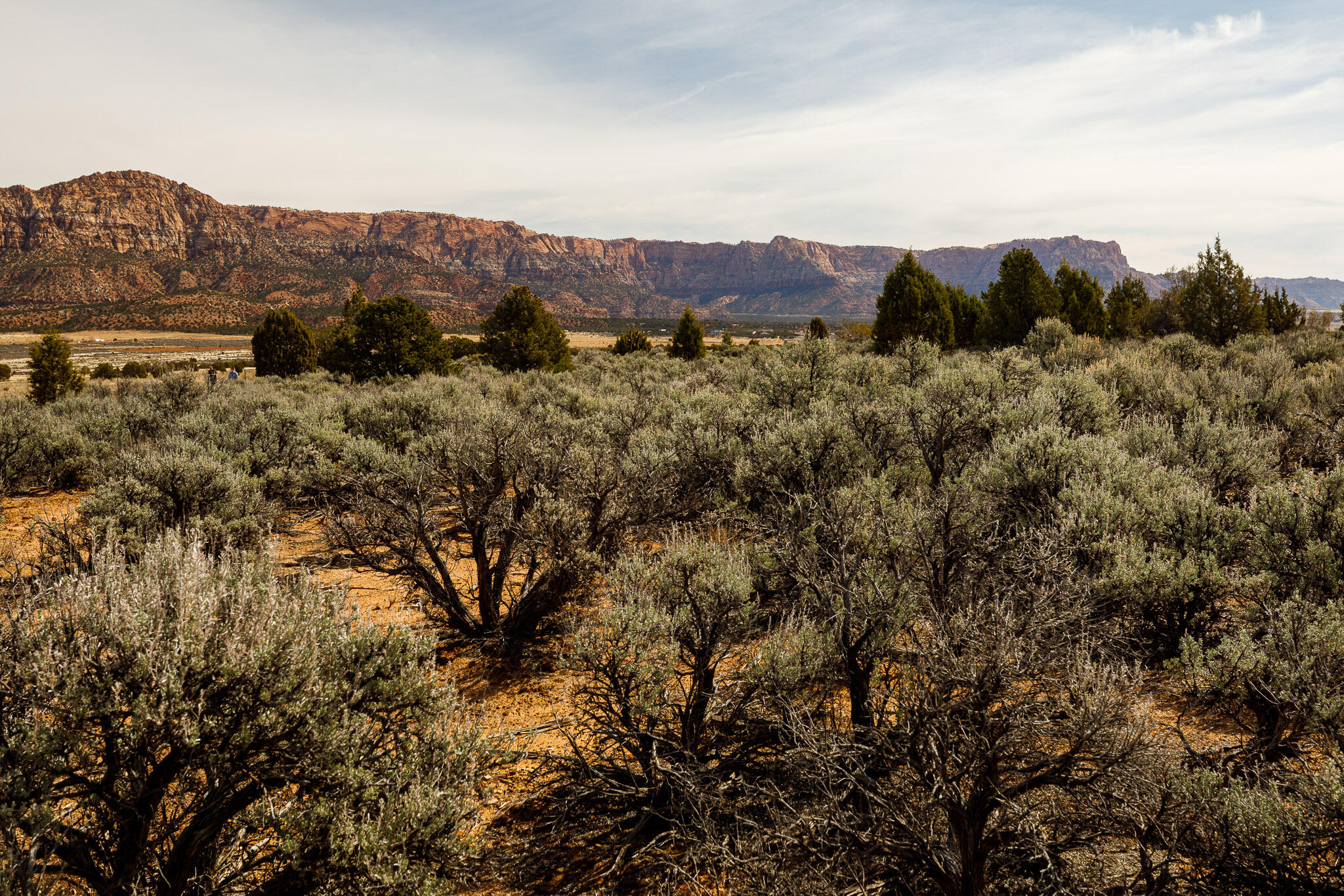 APPLE VALLEY TOWNSITE - Land