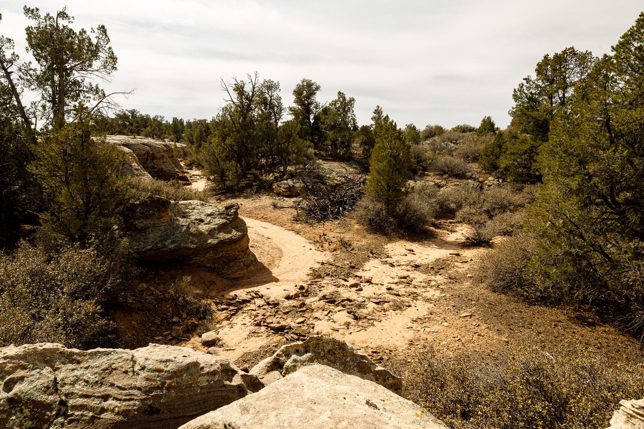 APPLE VALLEY TOWNSITE - Land