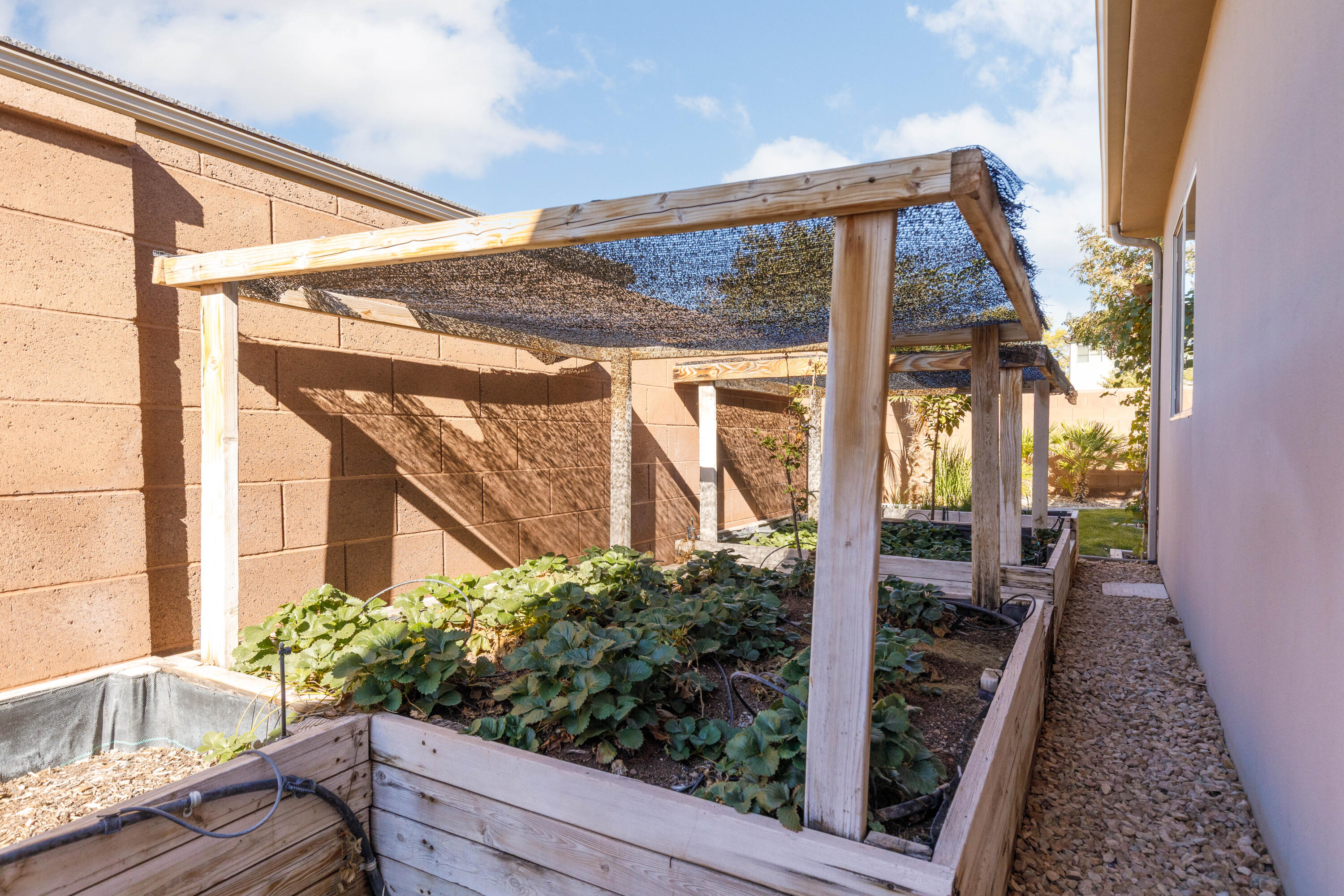 MEADOW POINTE - Residential