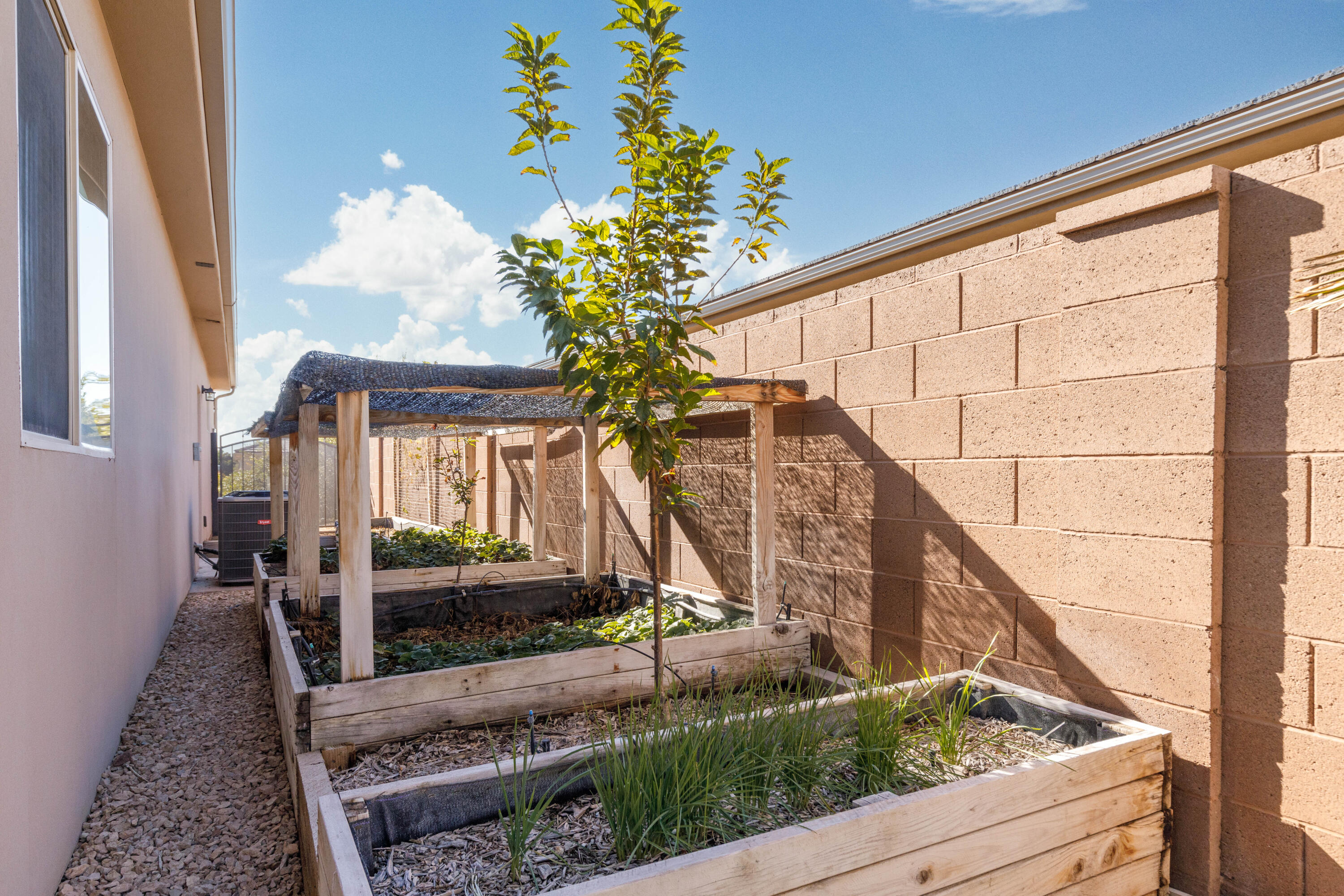 MEADOW POINTE - Residential