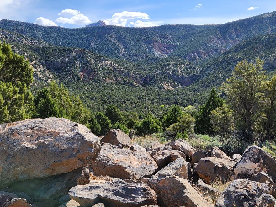 This incredible 5-acre lot has the perfect location, the perfect blend of views, privacy, peace and tranquility, endless possibilities! Much of the work is done.  The soils report is done.  Complete plans for a beautiful custom home.  Conveniently located in So. Utah's unique equestrian community. Miles of trails for horses or ATV enthusiast. Just minutes to St. George or Cedar City.  Easy access to the I-15 from exit 36.