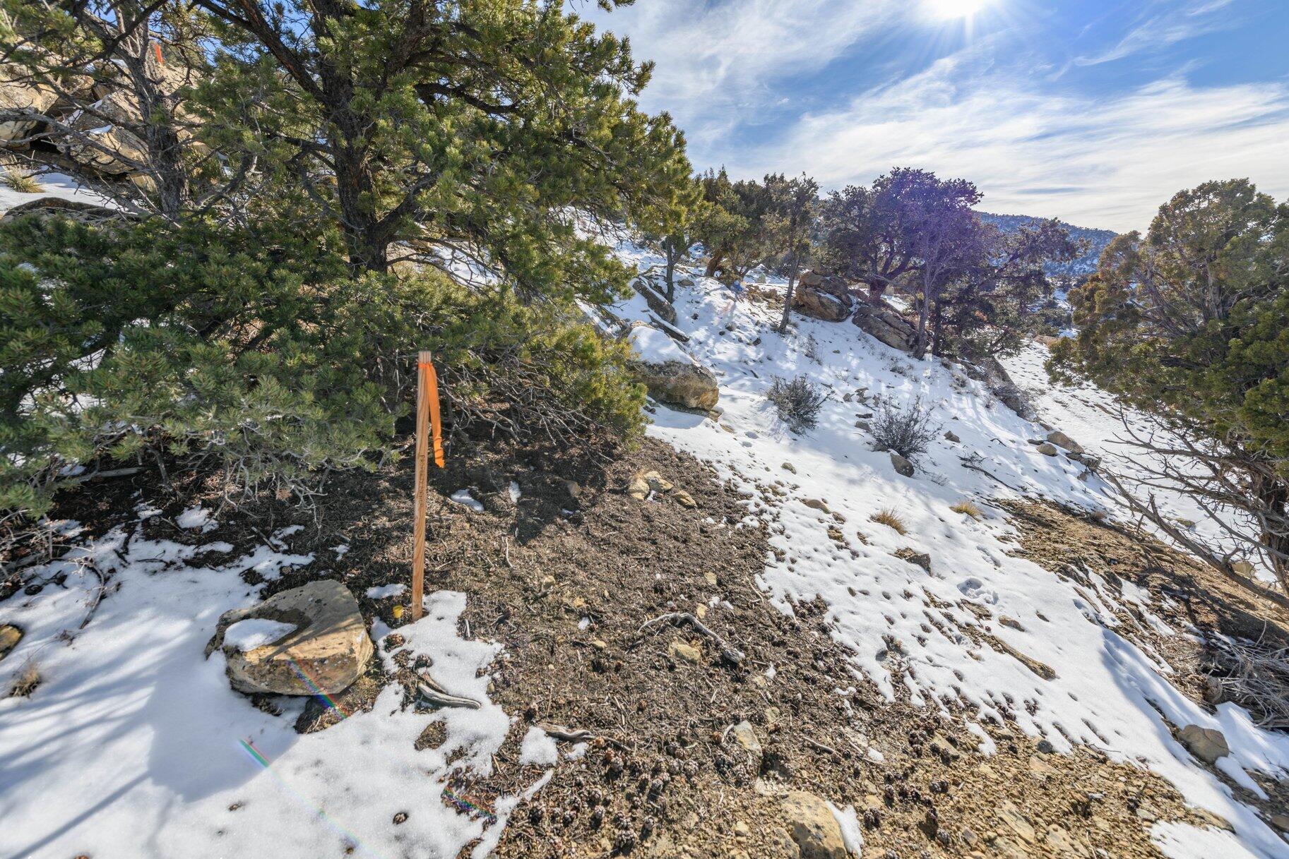 NOT AVAILABLE - Land