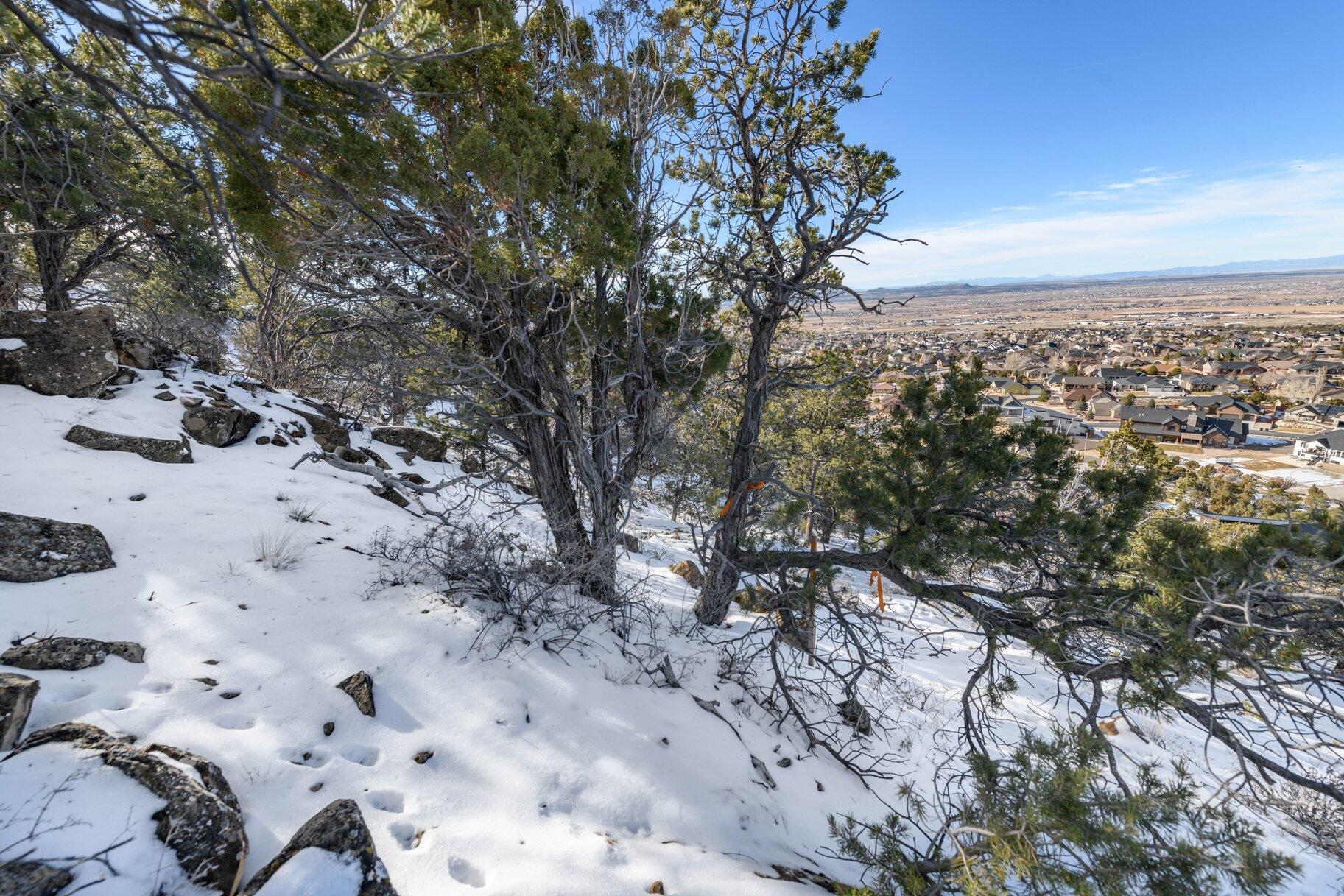 NOT AVAILABLE - Land