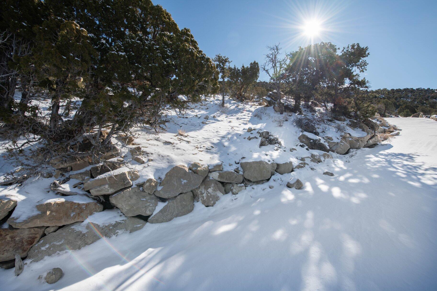 NOT AVAILABLE - Land