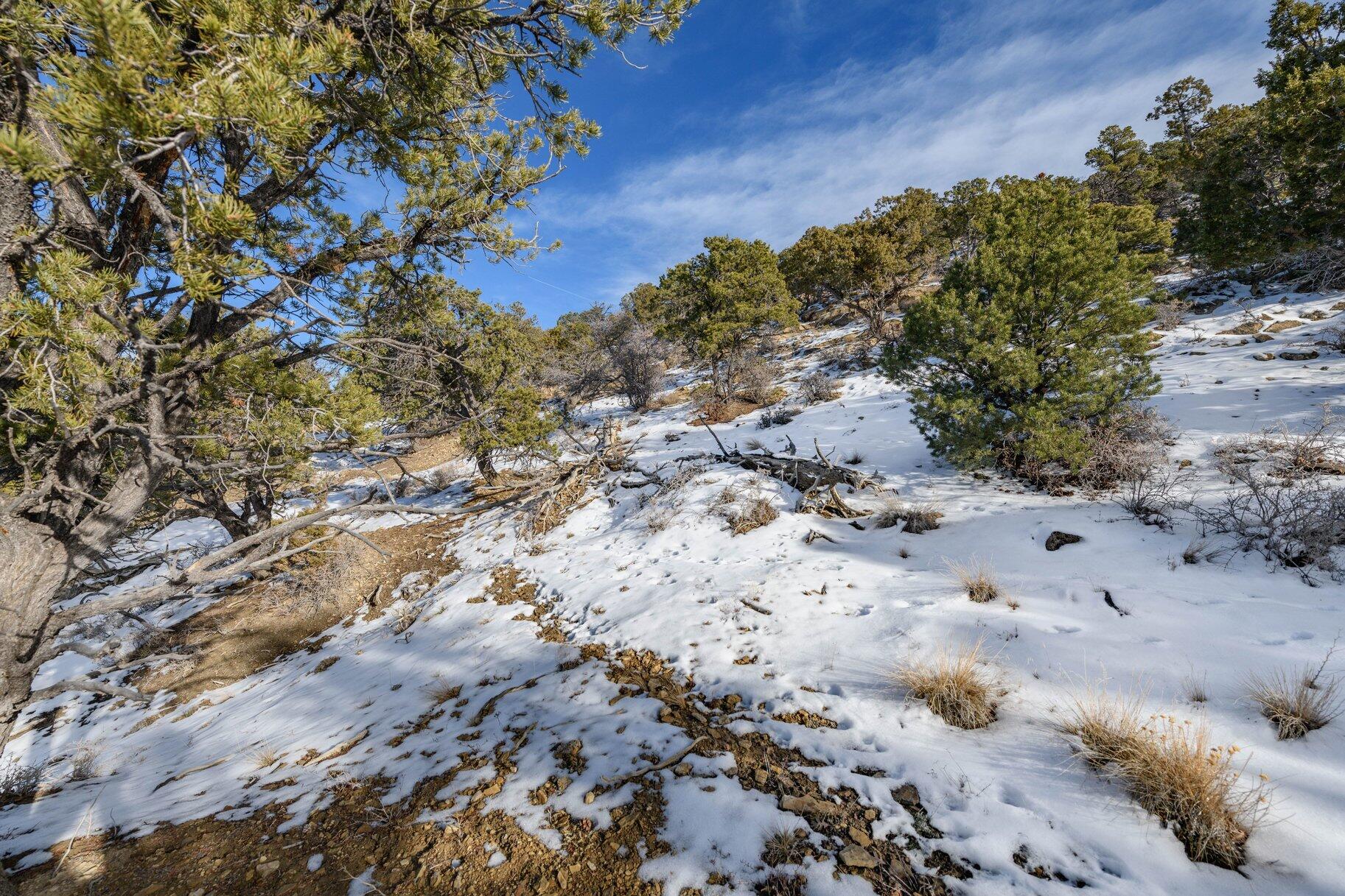 NOT AVAILABLE - Land